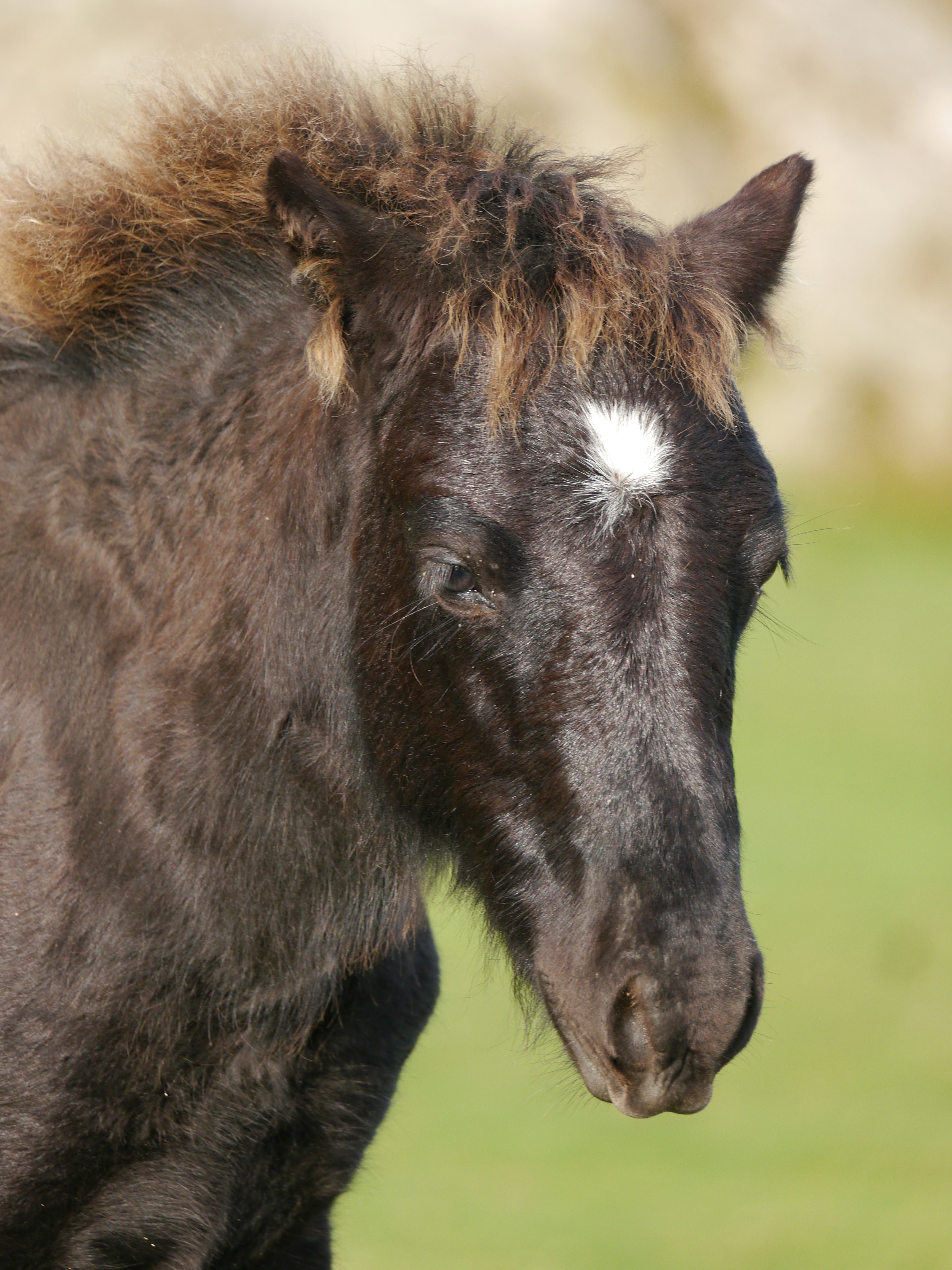 Photo by iqsphotography