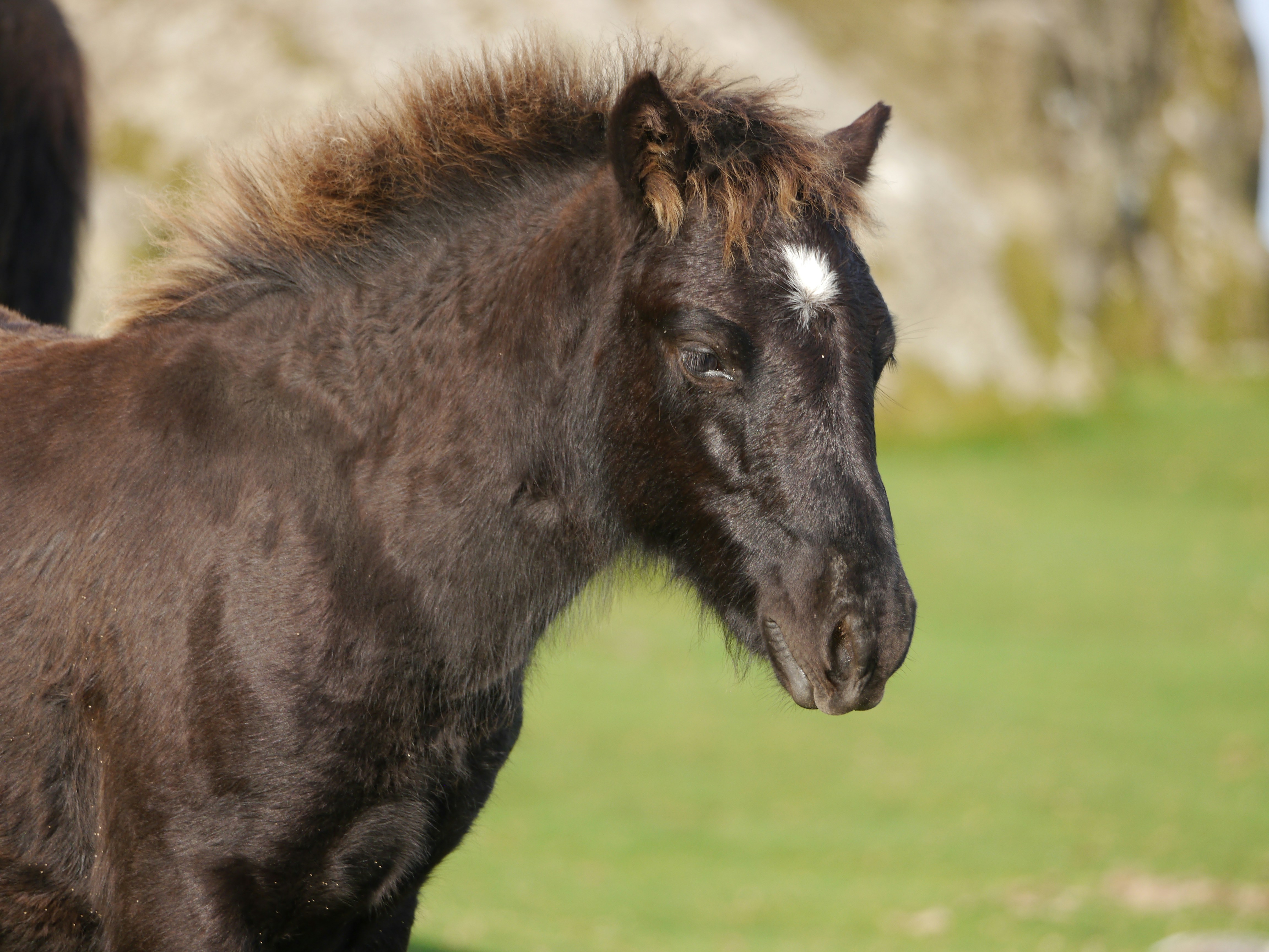 Photo by iqsphotography