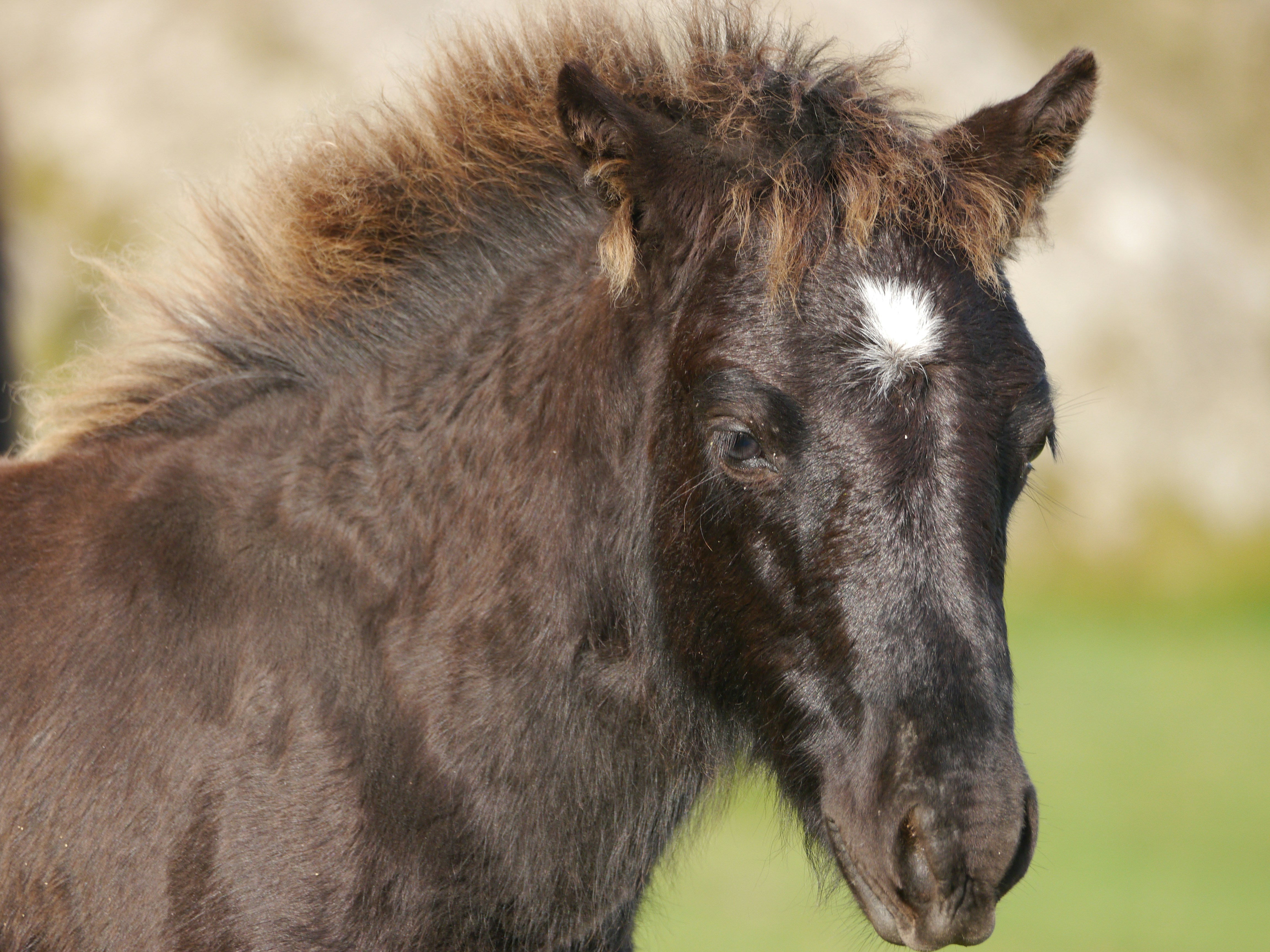 Photo by iqsphotography