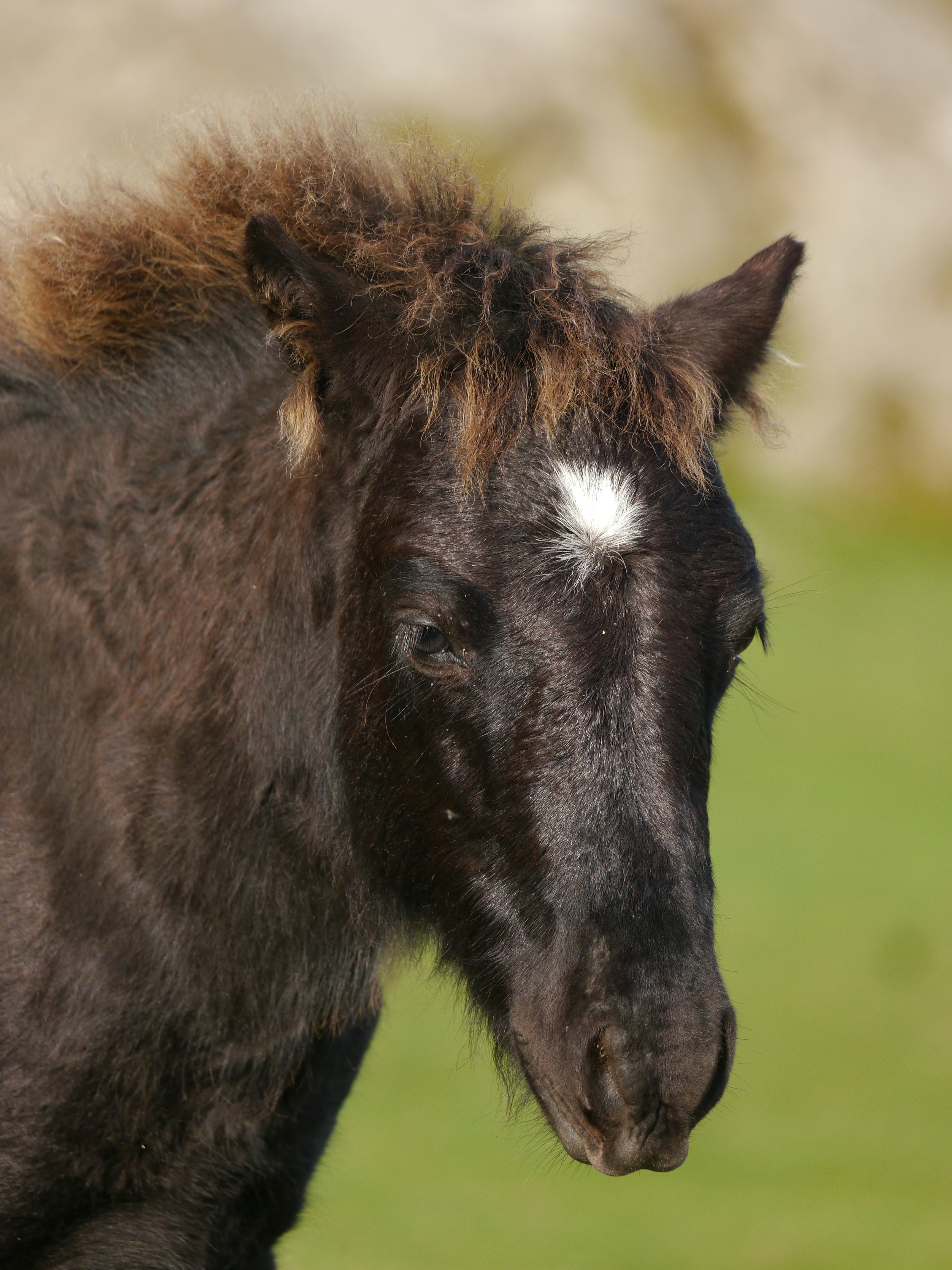 Photo by iqsphotography