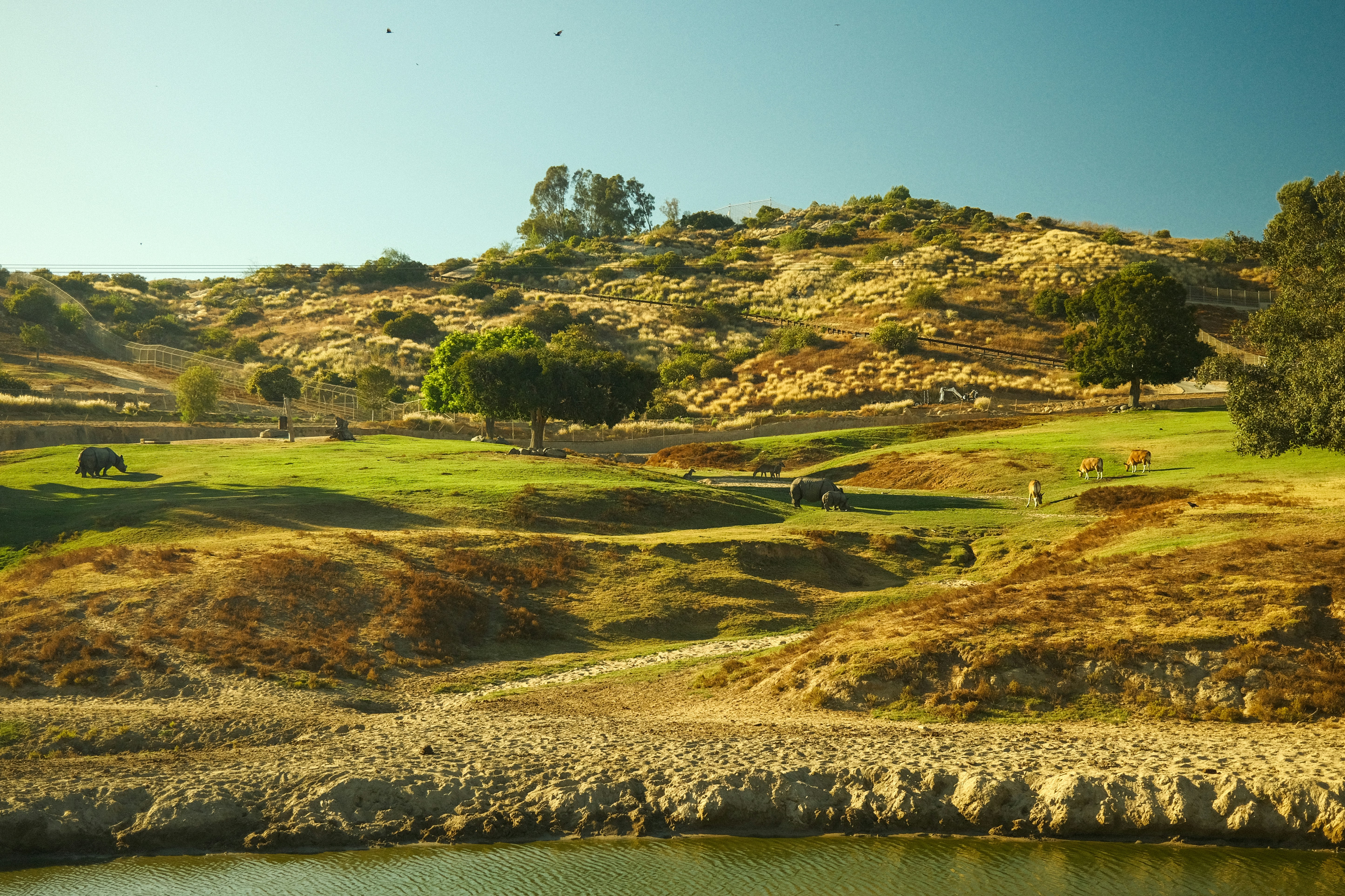 Photo by joakimkingstrom