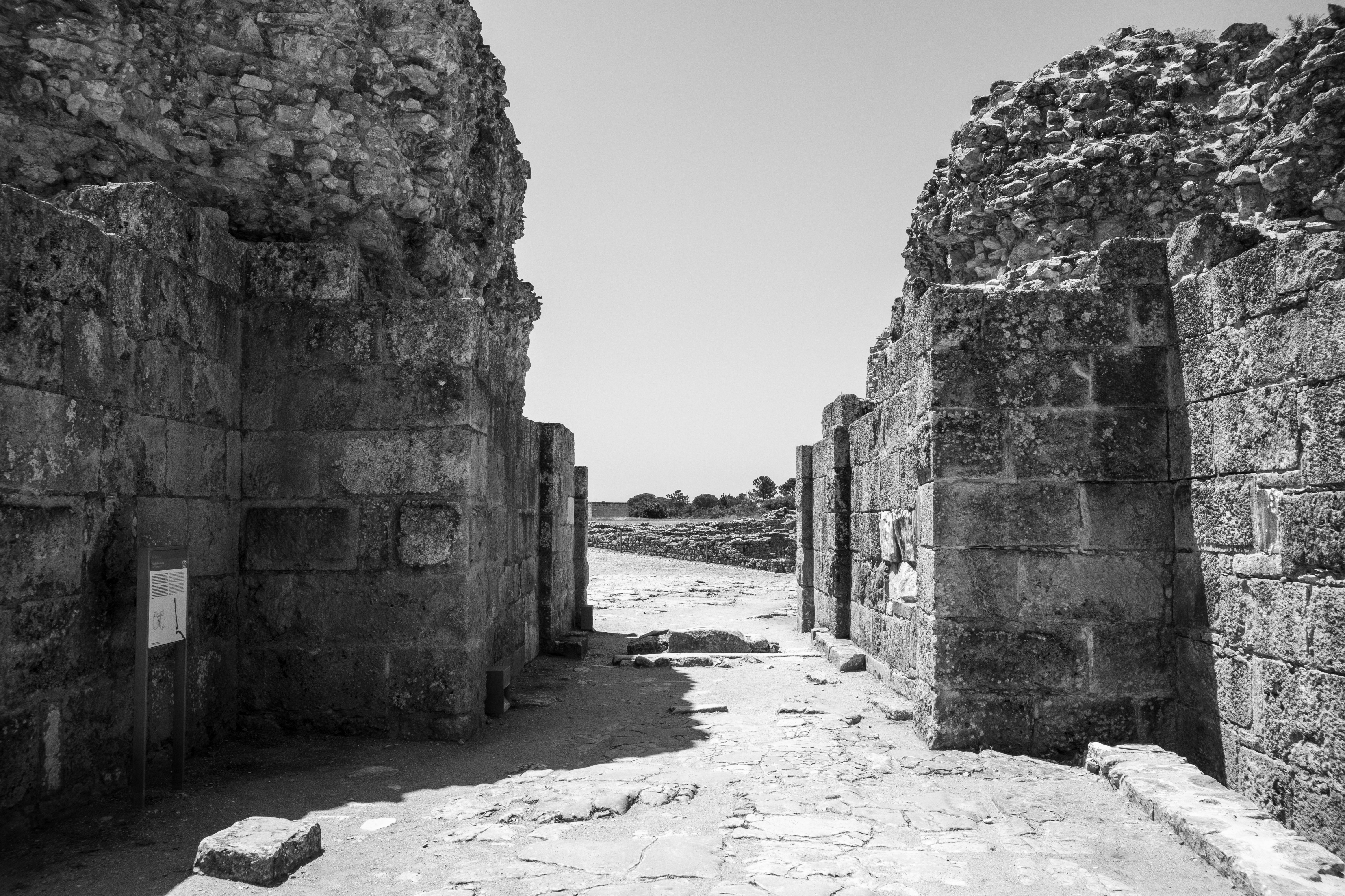 Photo by wendell_adriel