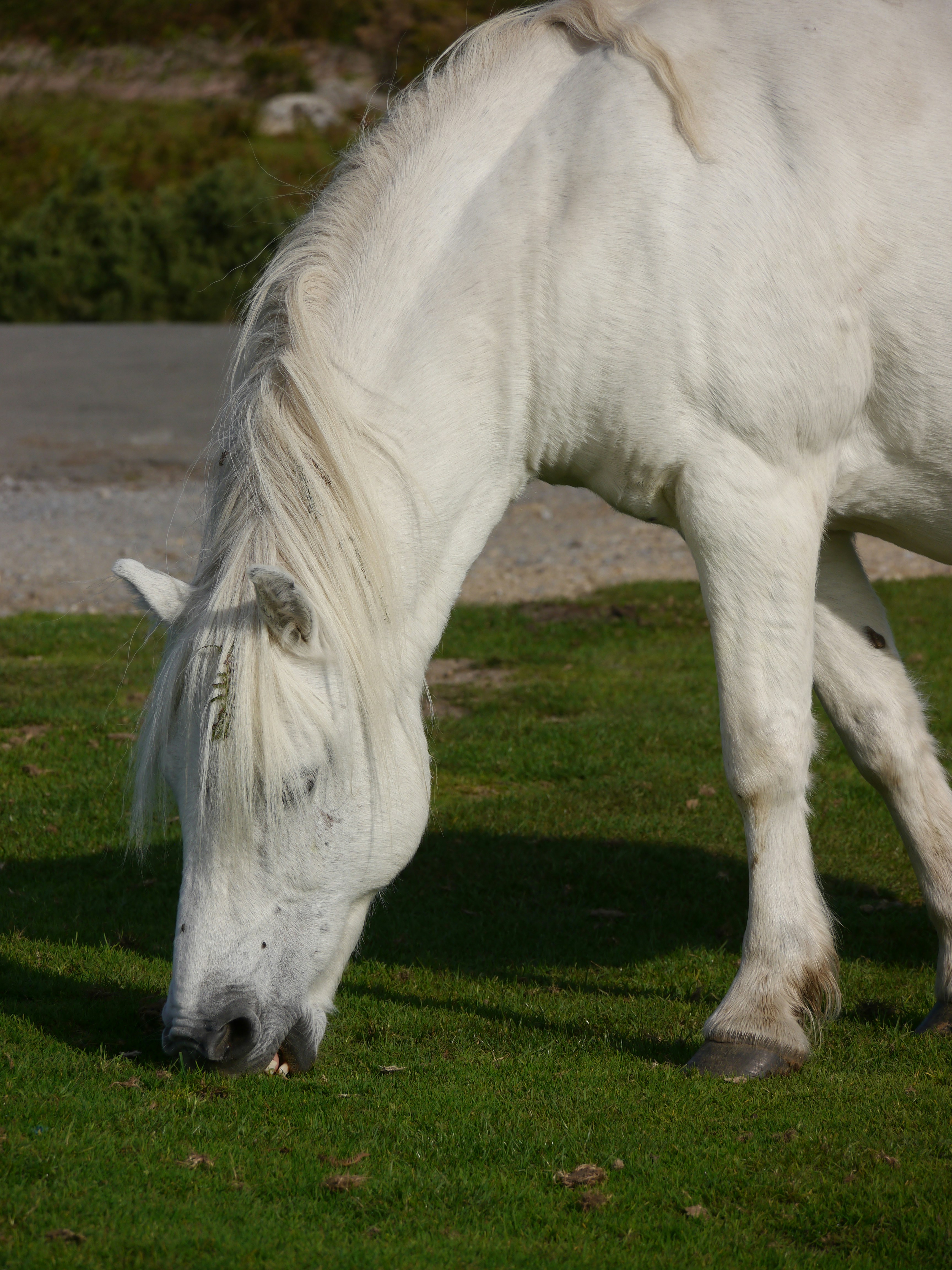 Photo by iqsphotography