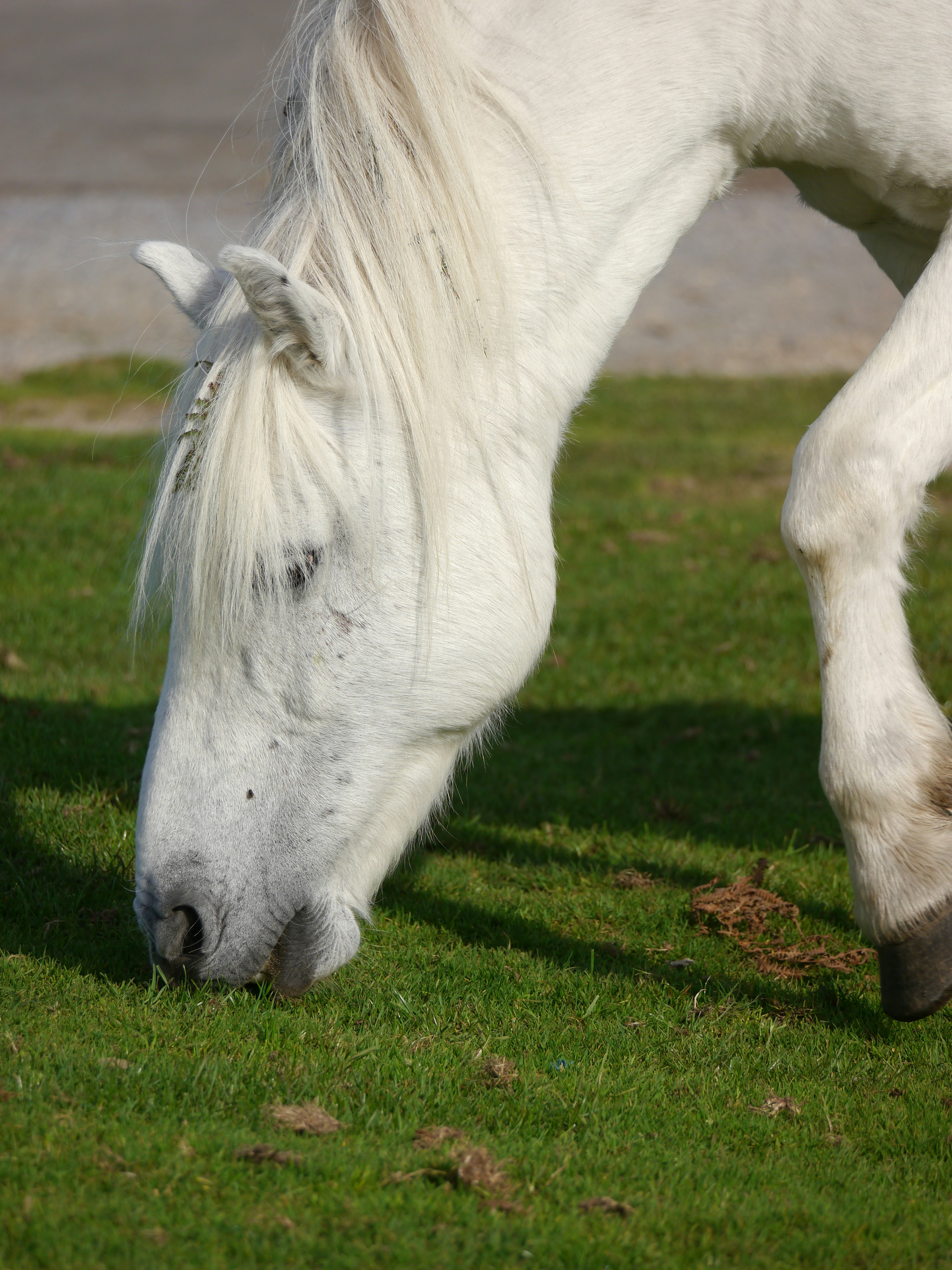 Photo by iqsphotography