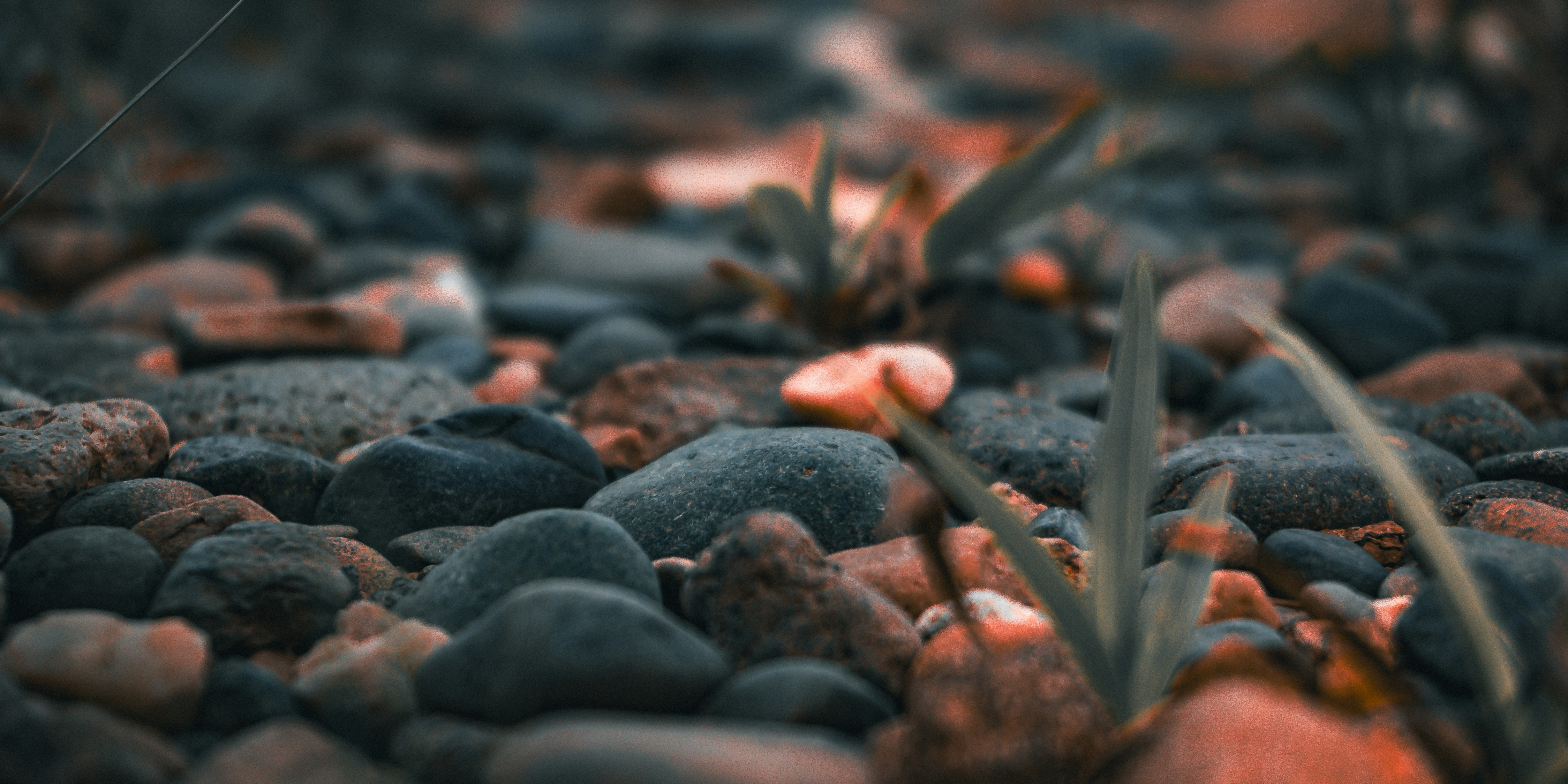 Photo by aletraekaye