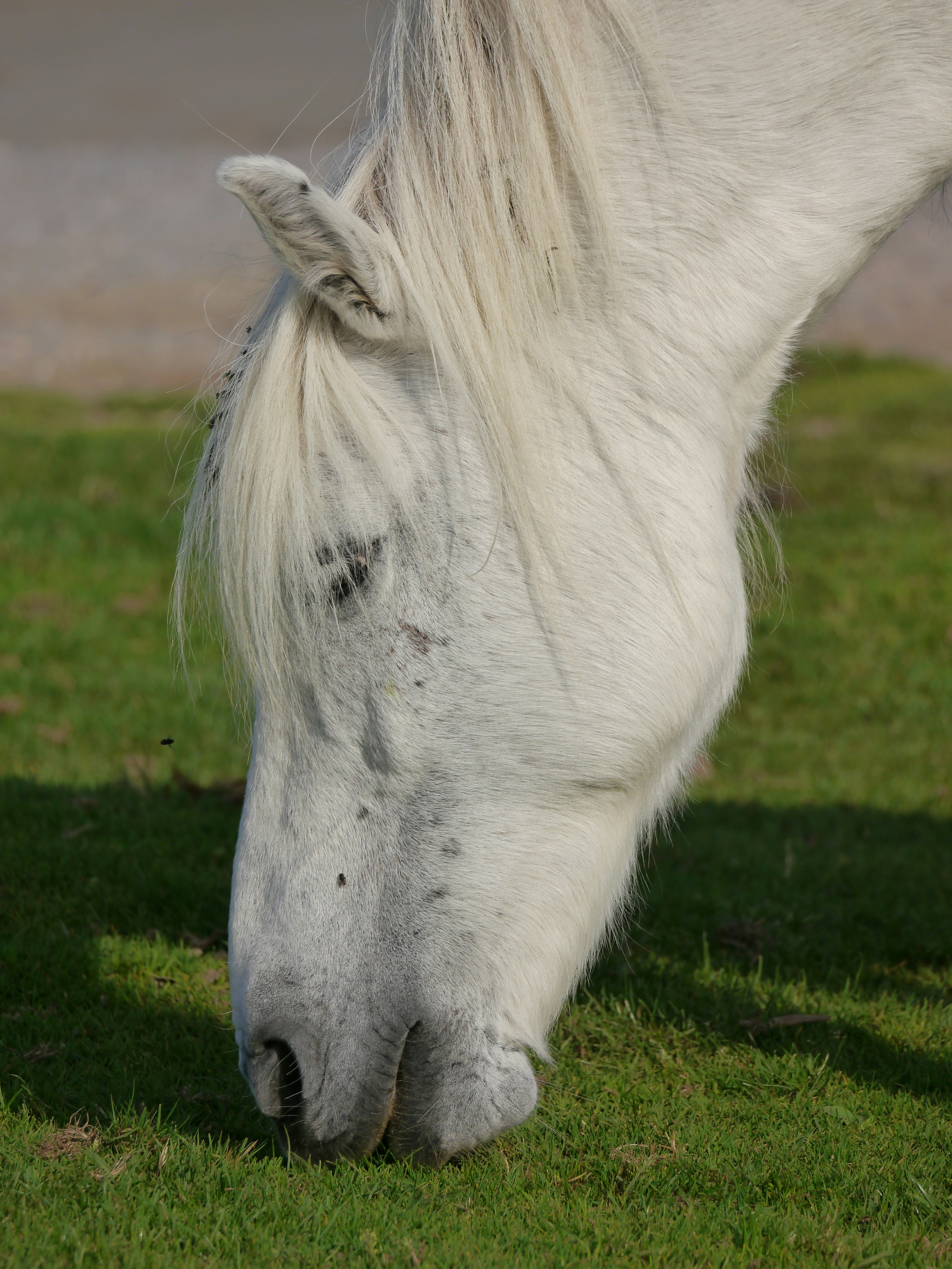 Photo by iqsphotography