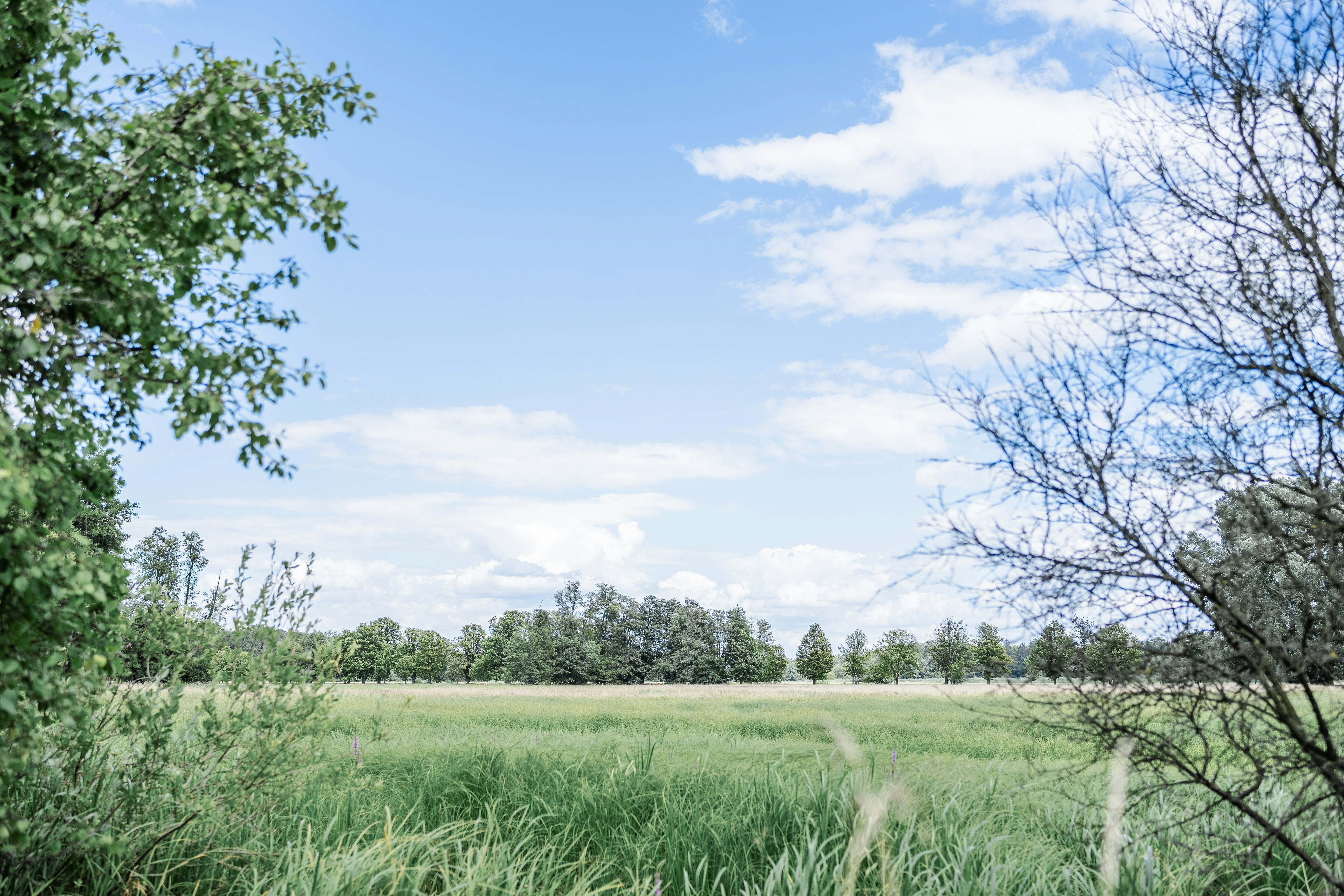 Photo by masoodaslami