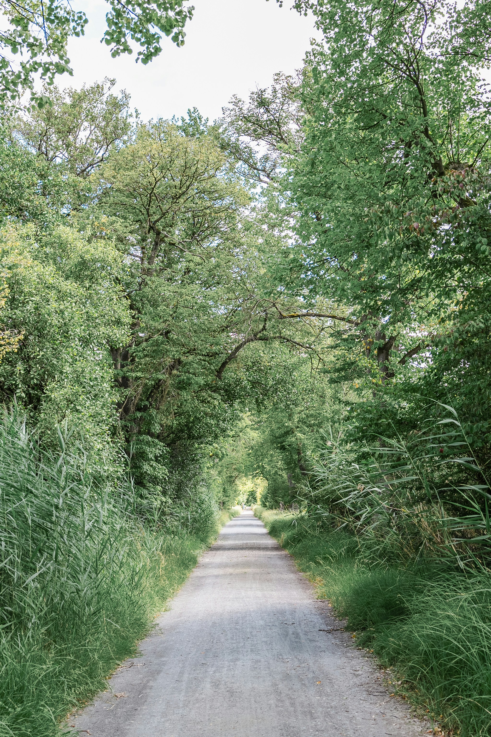 Photo by masoodaslami