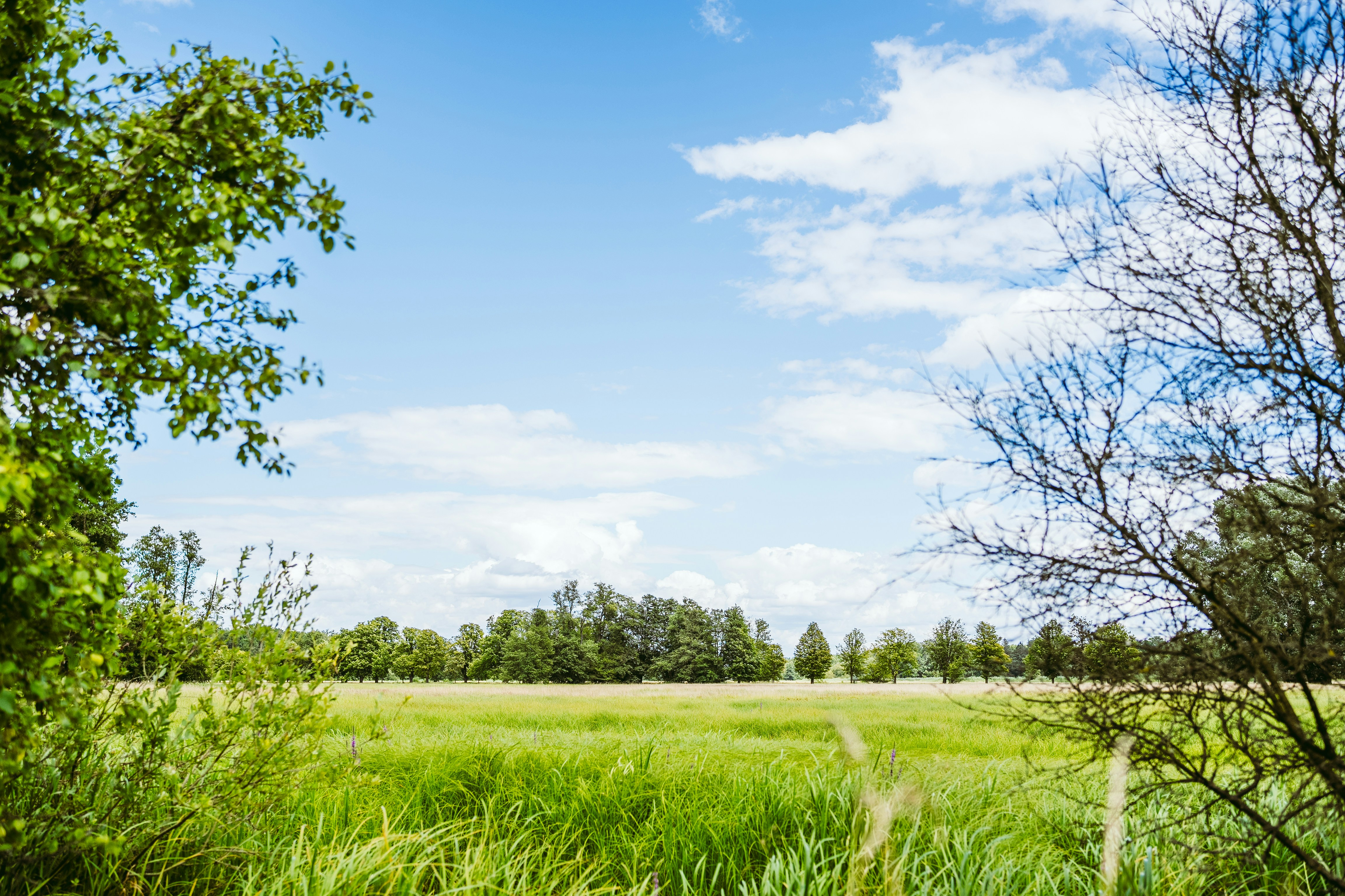 Photo by masoodaslami