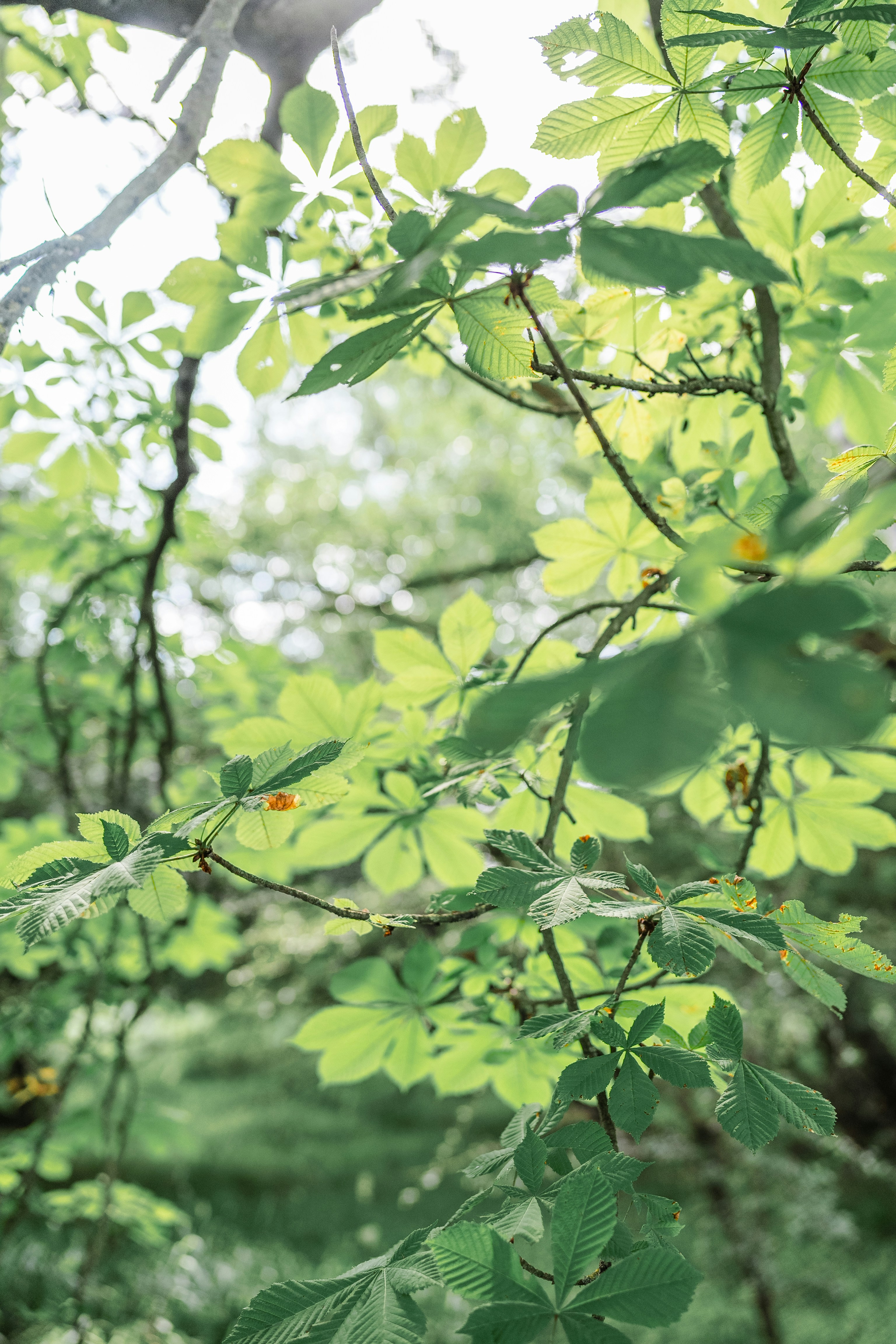 Photo by masoodaslami