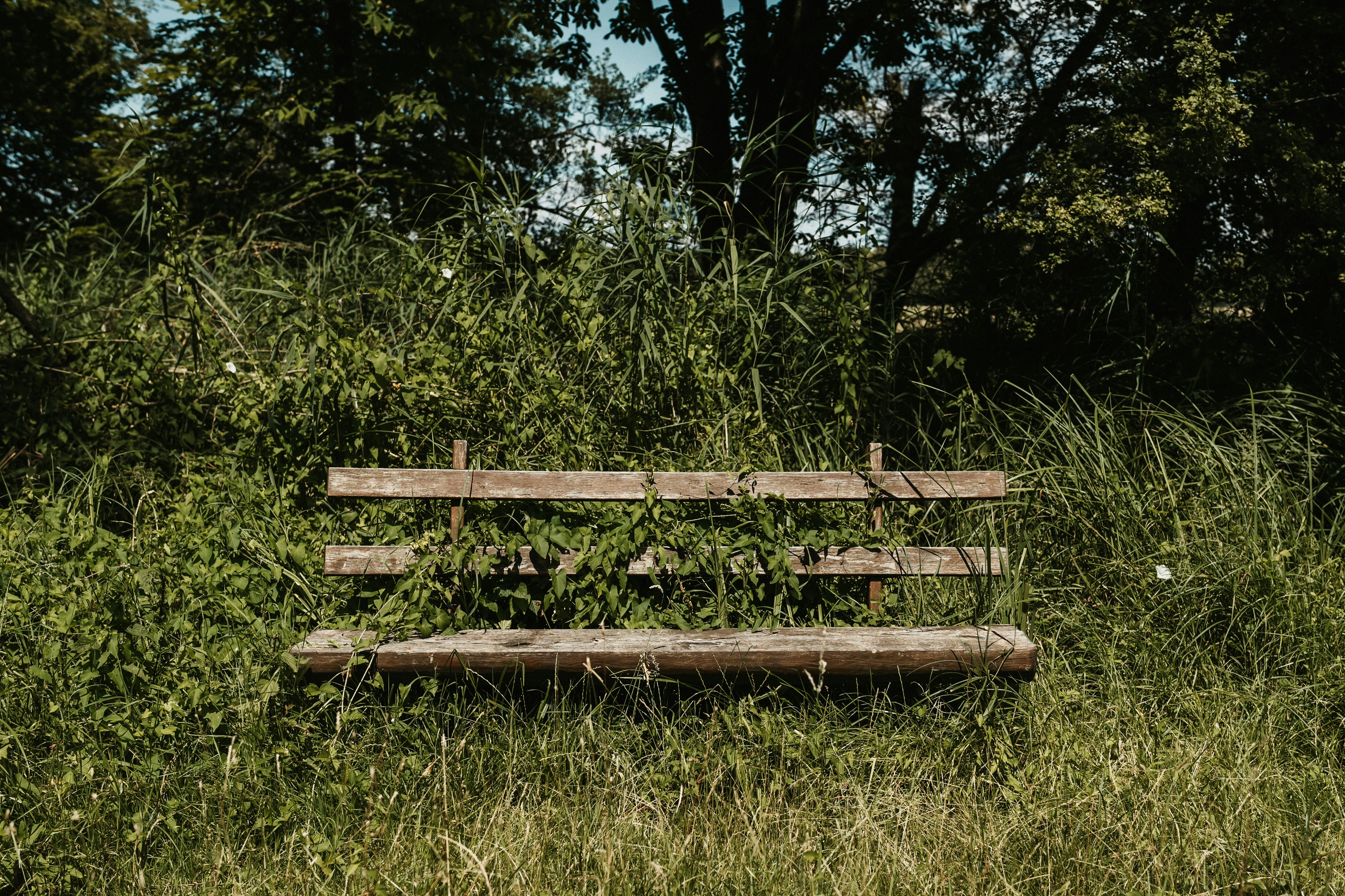 Photo by masoodaslami