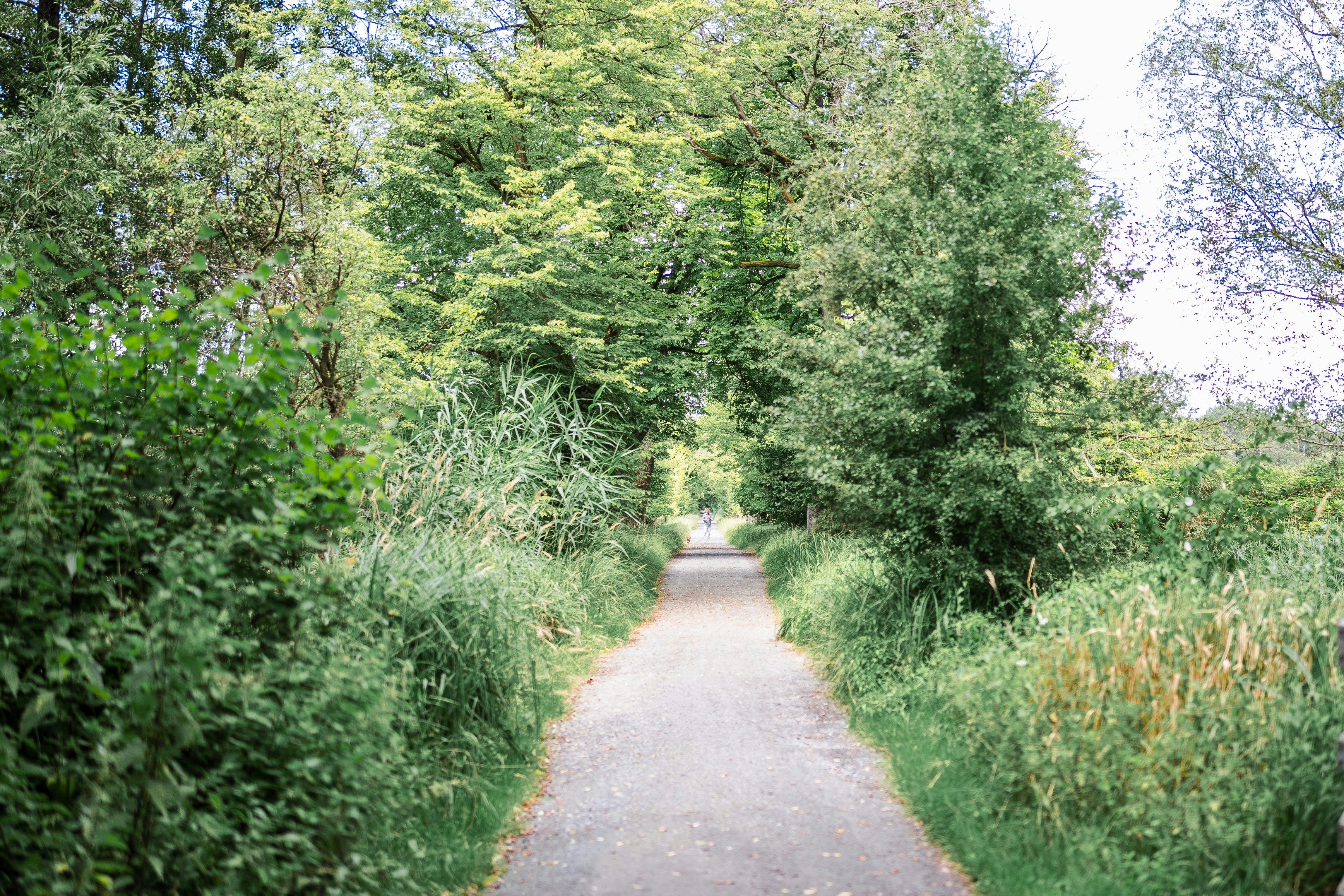 Photo by masoodaslami