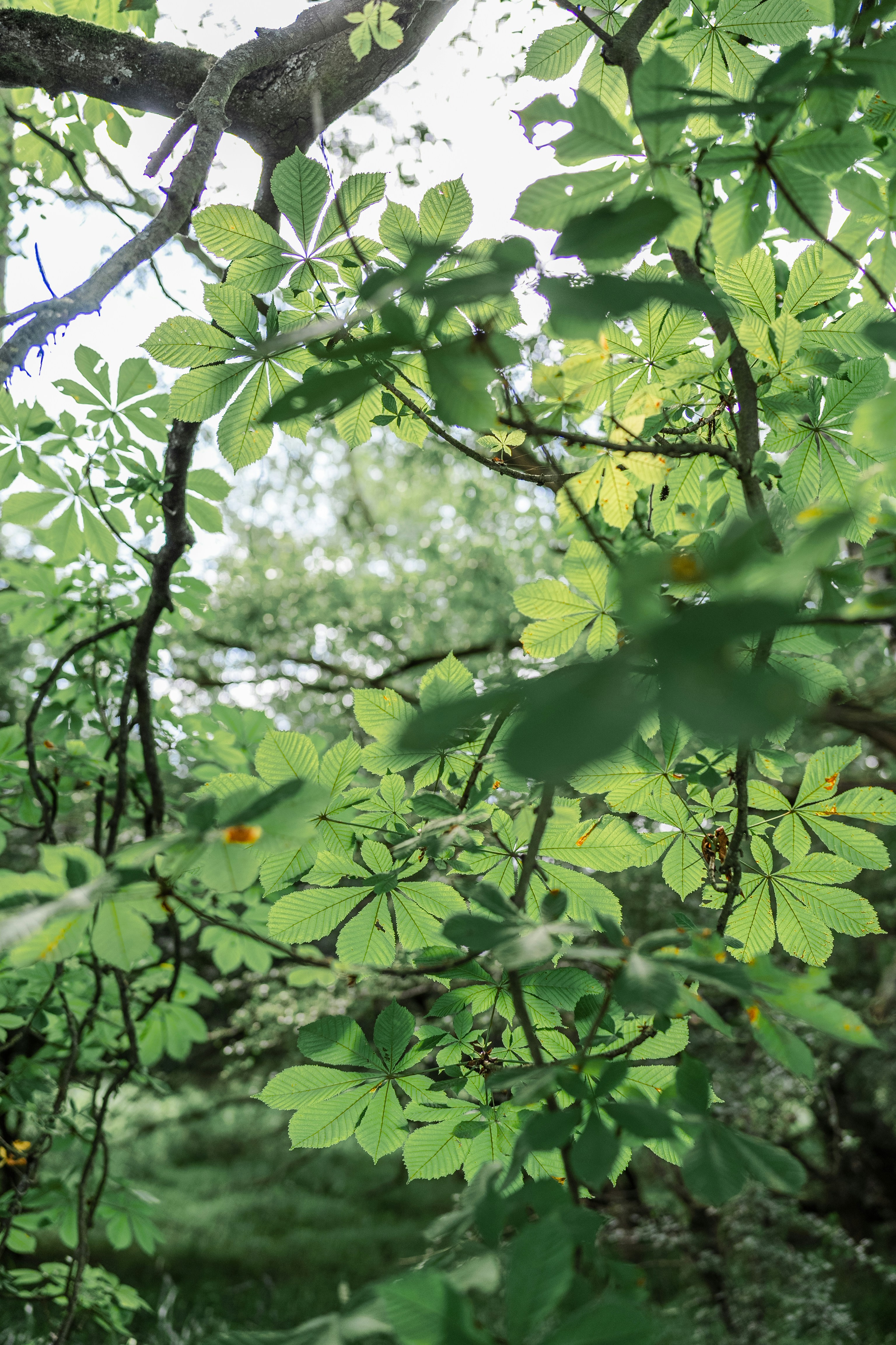 Photo by masoodaslami