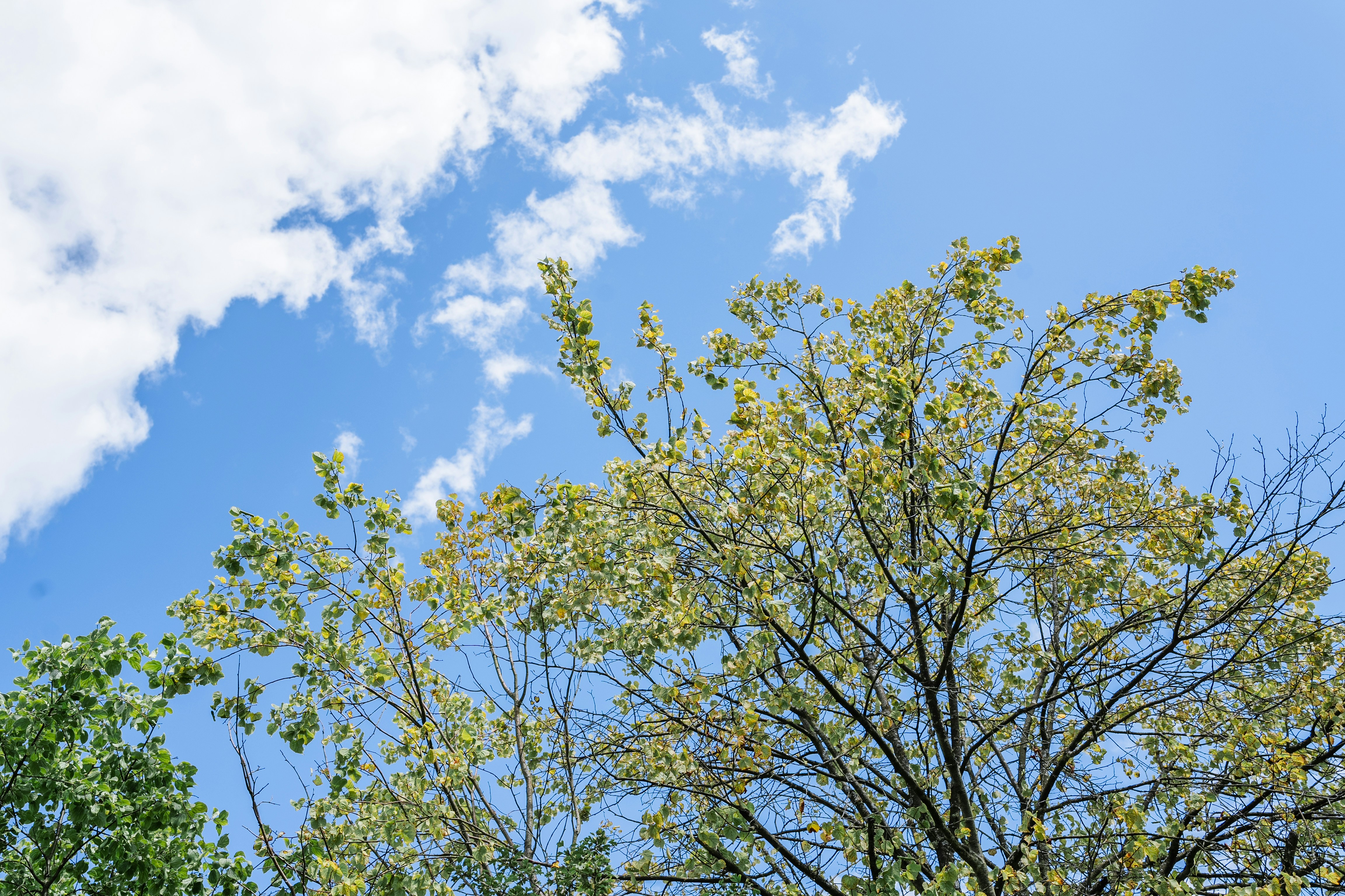 Photo by masoodaslami