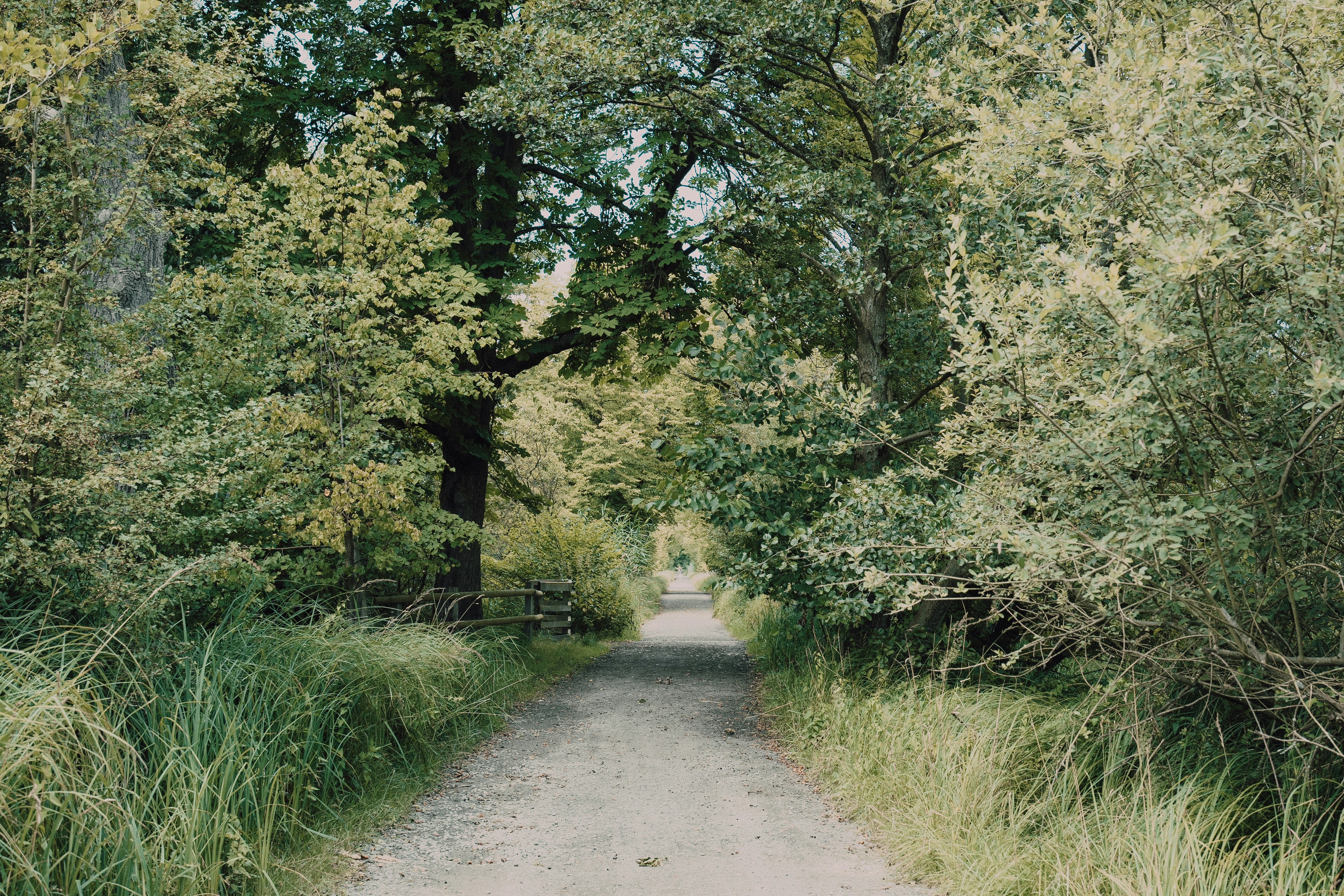 Photo by masoodaslami