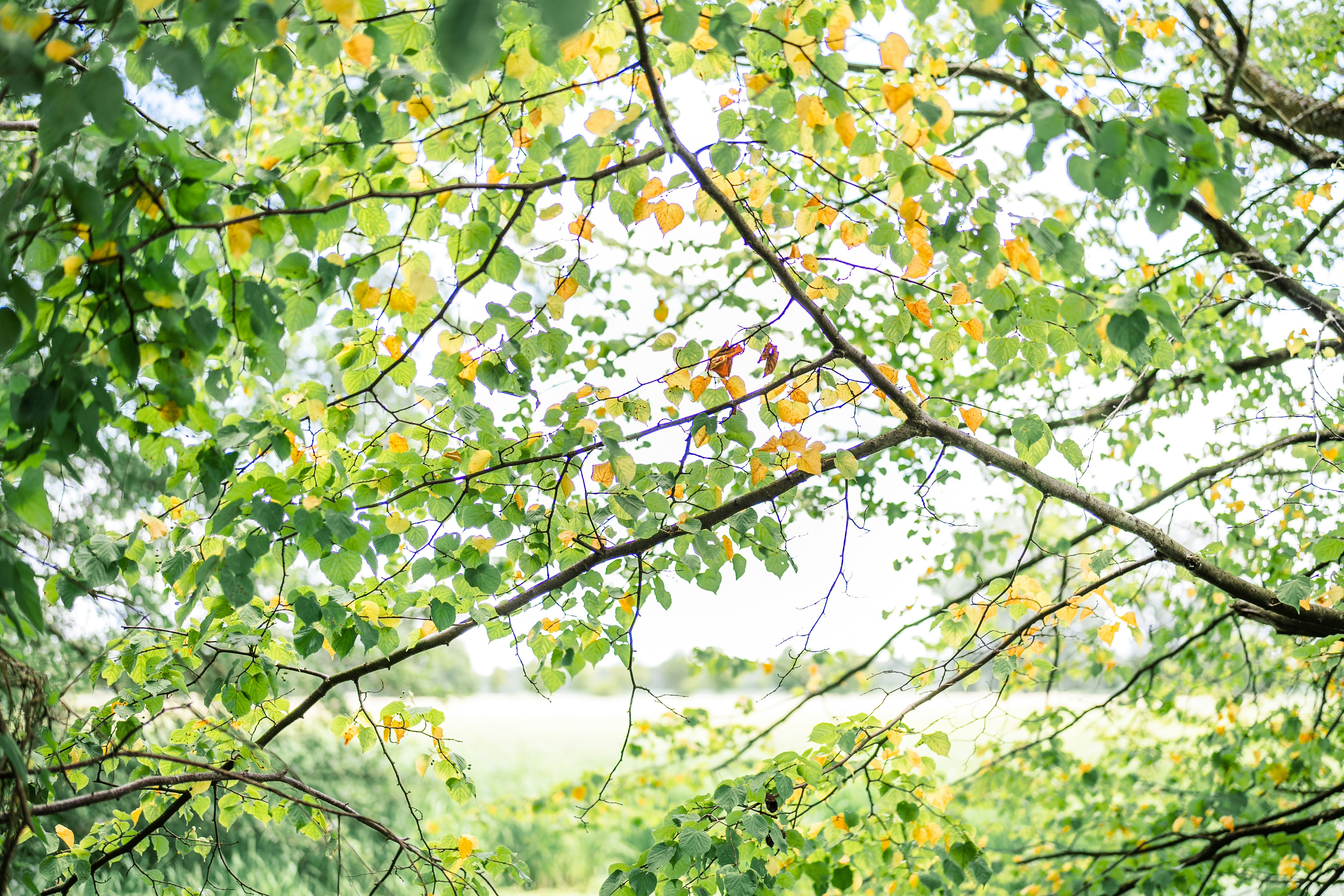 Photo by masoodaslami