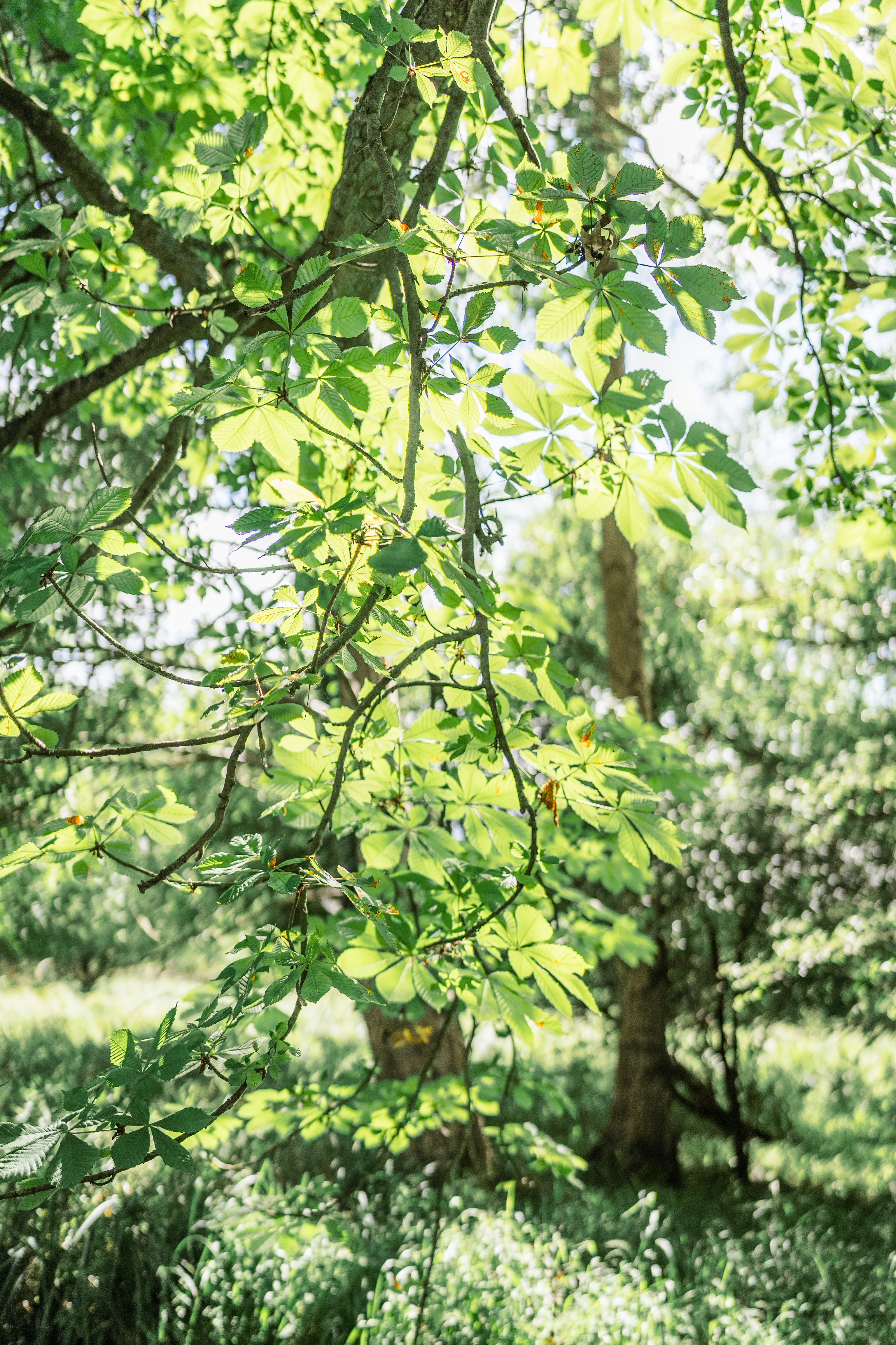 Photo by masoodaslami