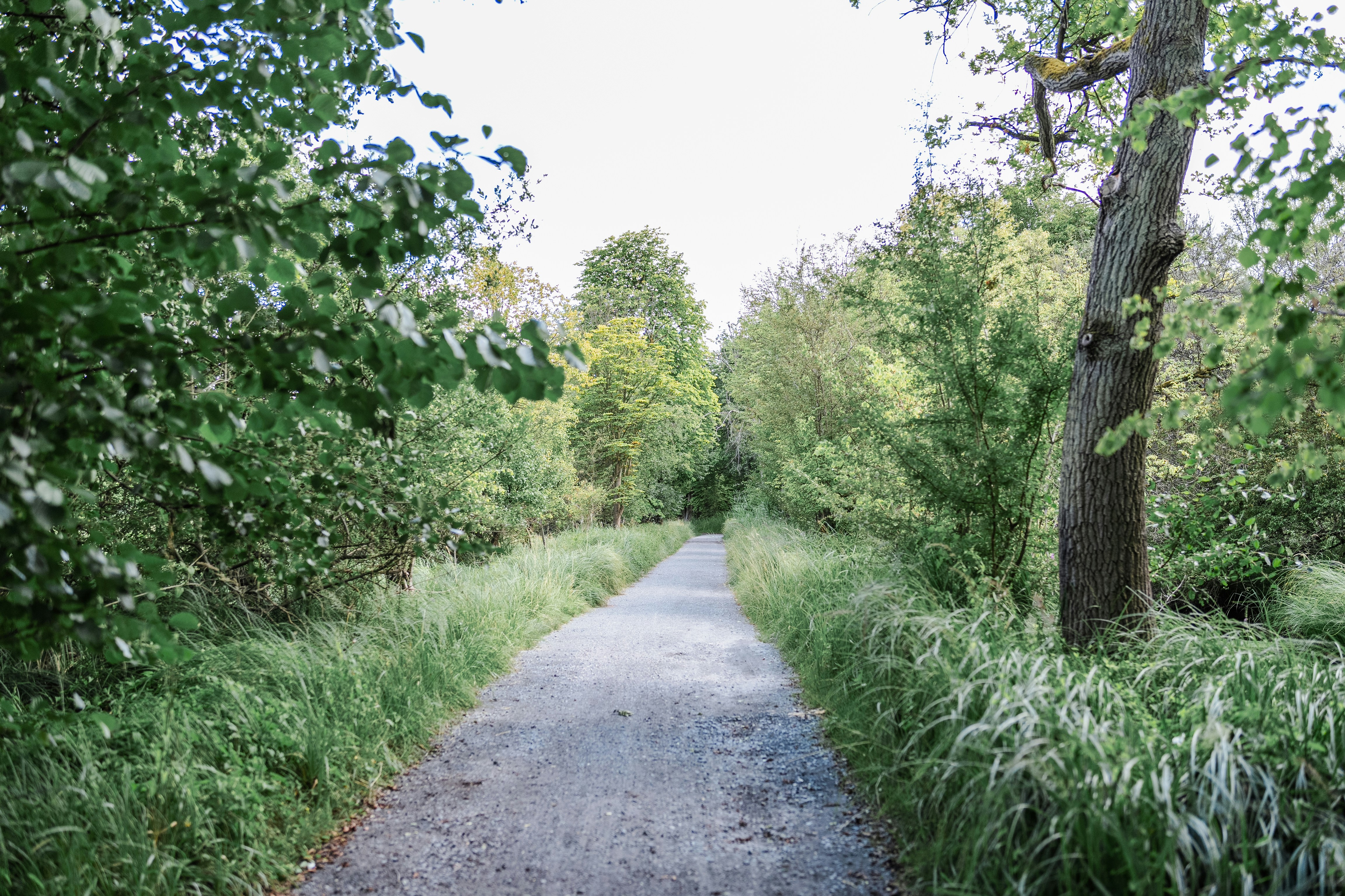 Photo by masoodaslami