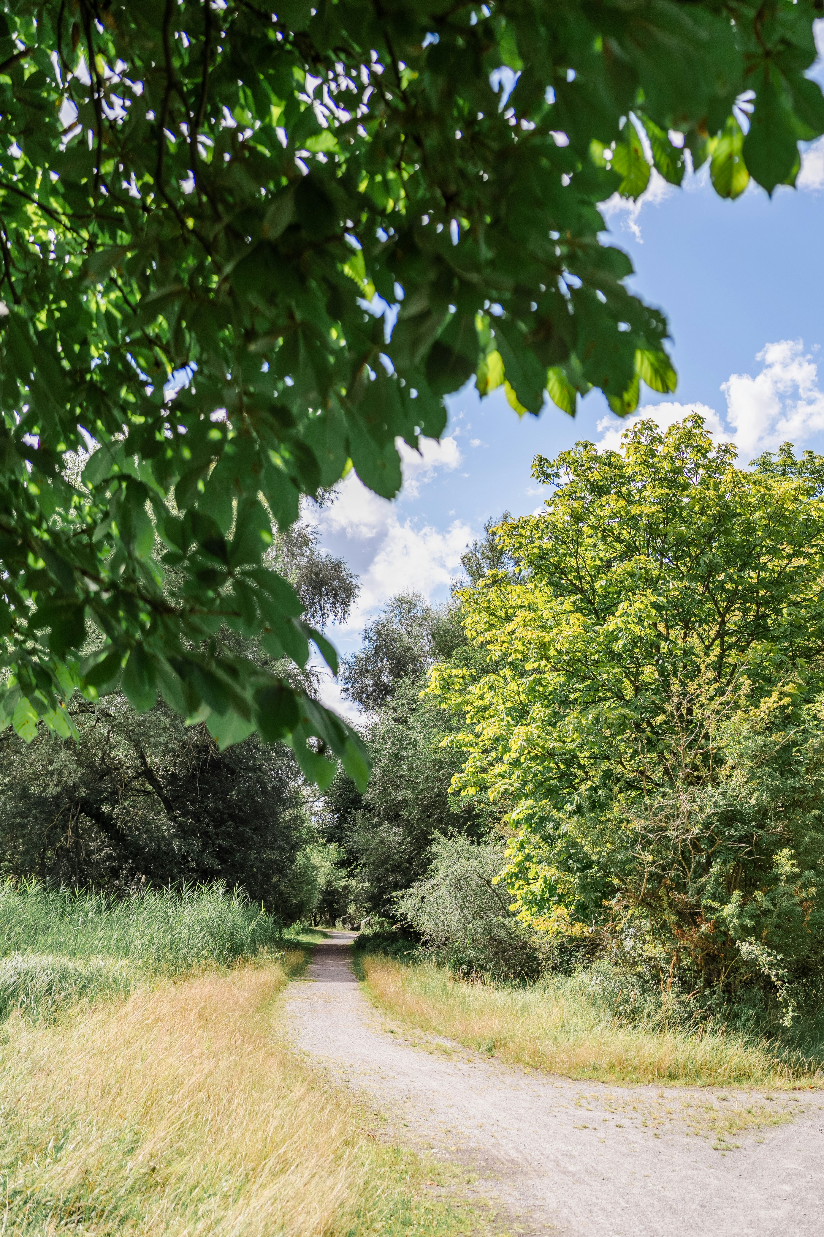 Photo by masoodaslami