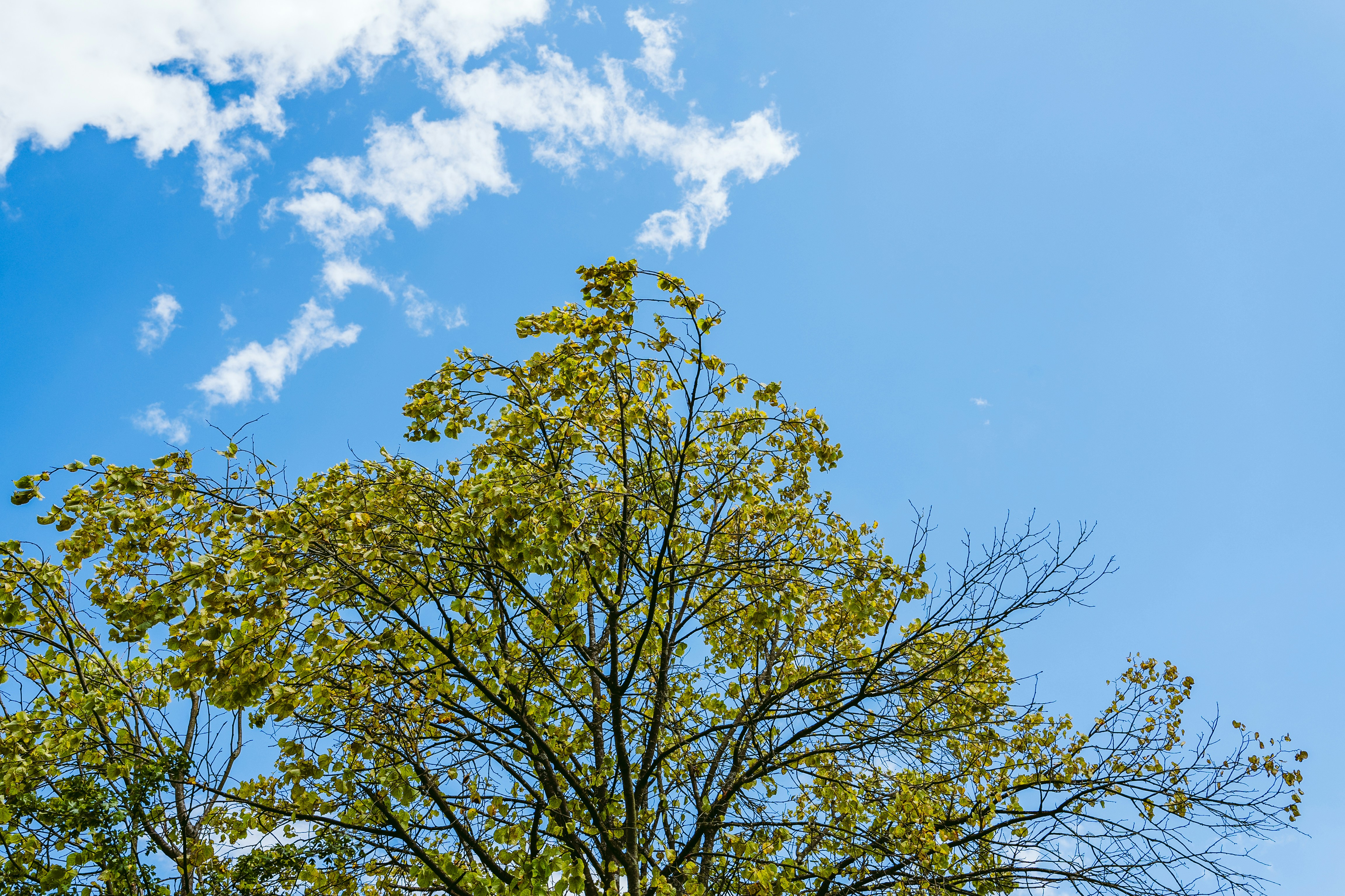 Photo by masoodaslami