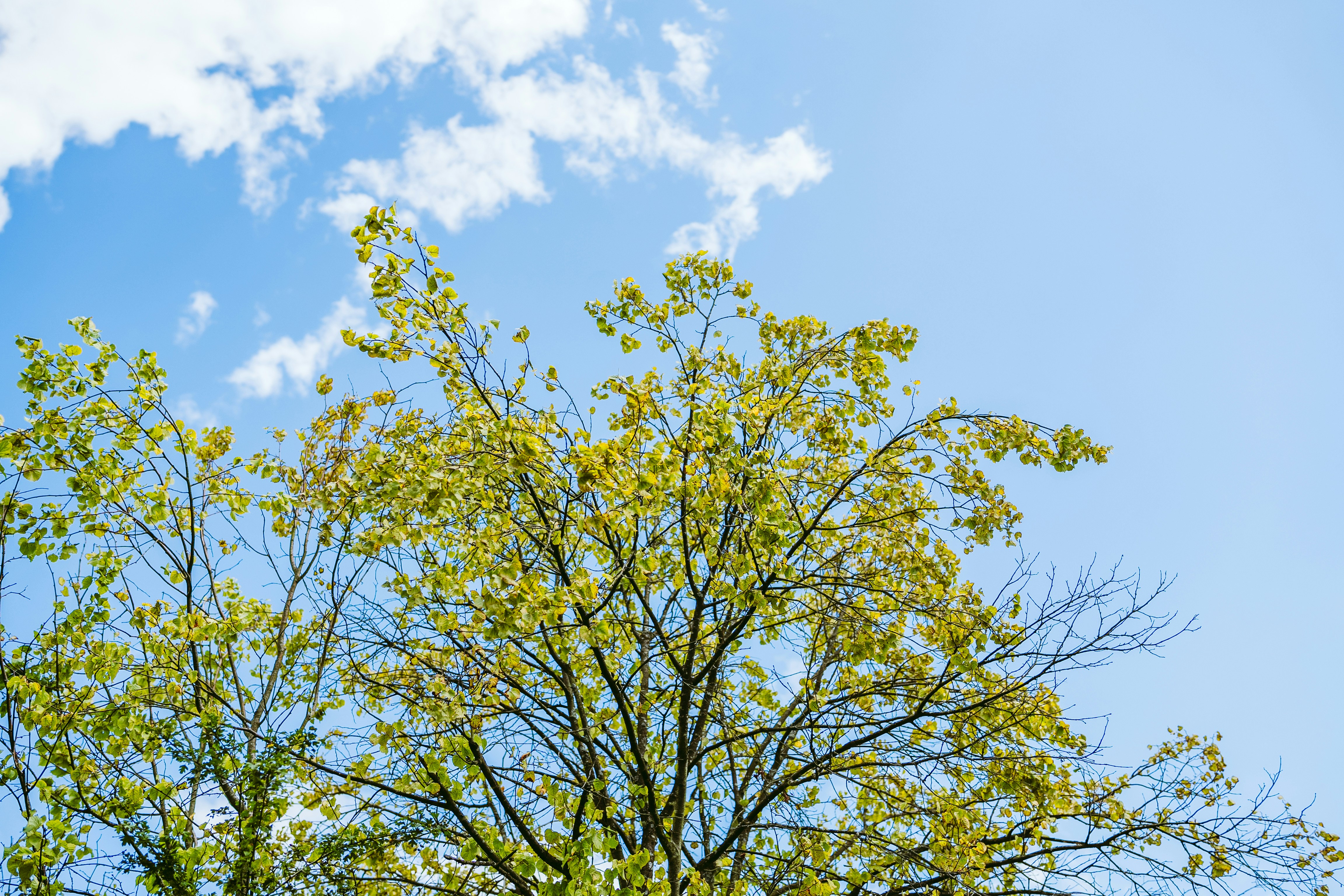 Photo by masoodaslami