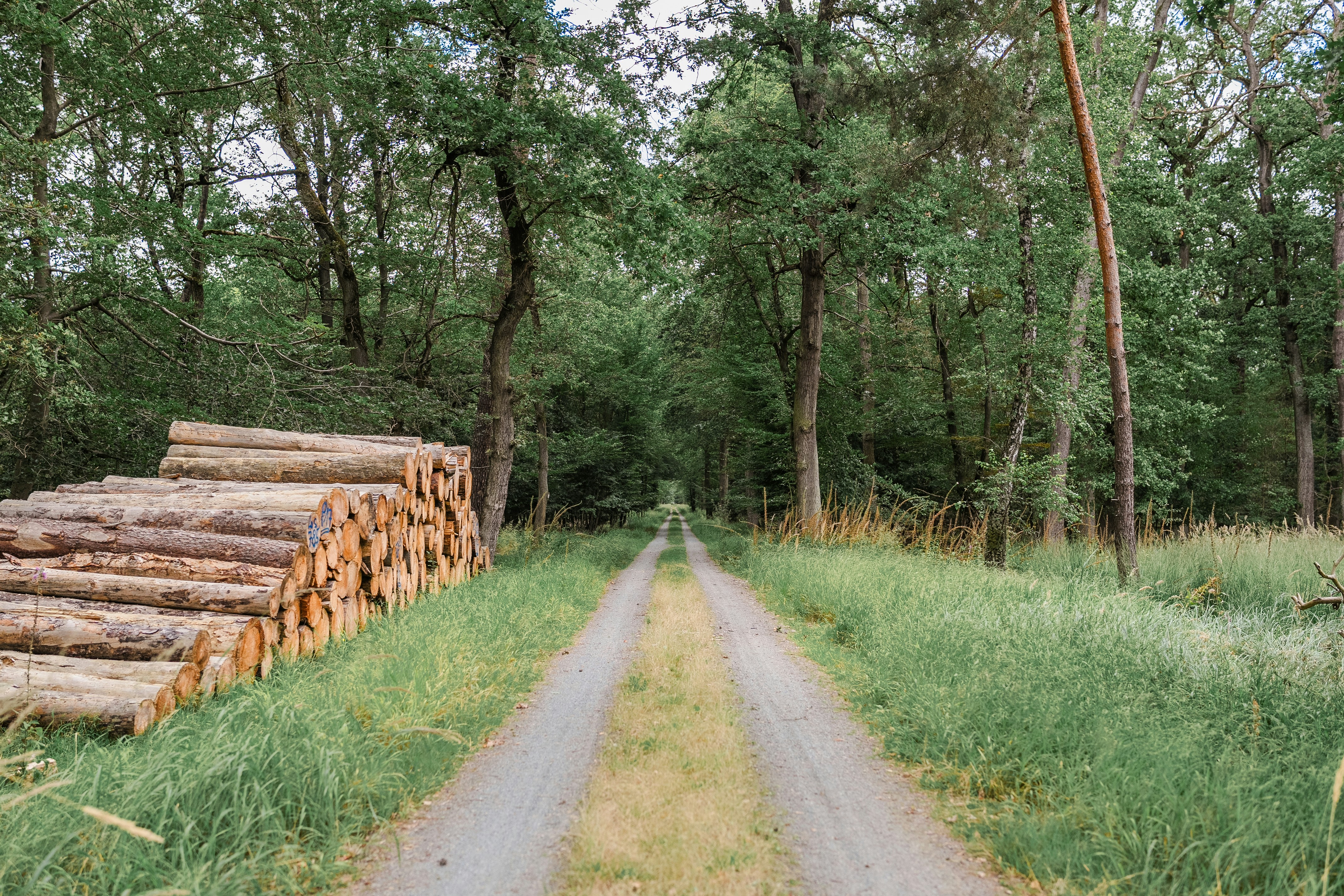 Photo by masoodaslami