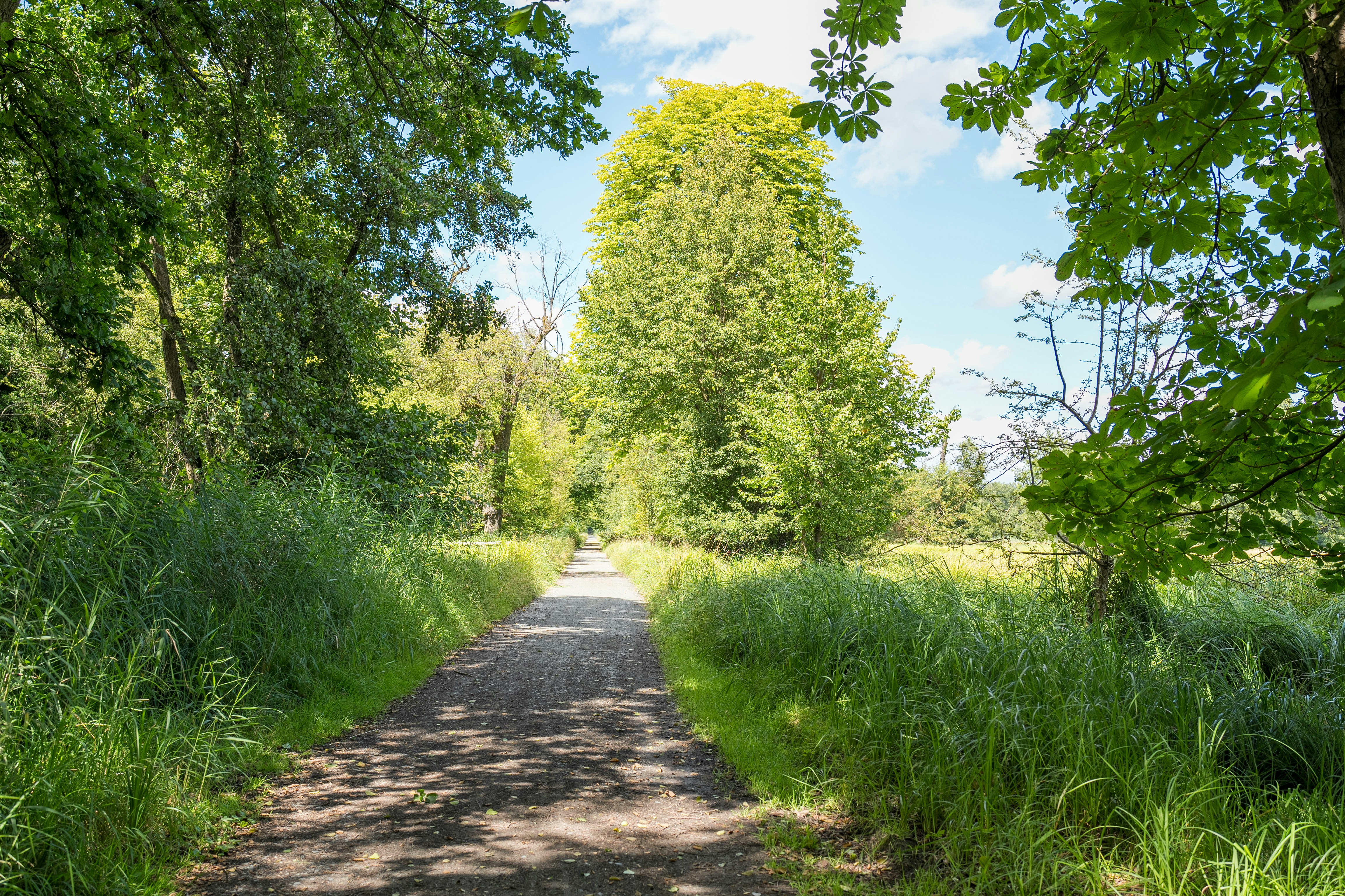 Photo by masoodaslami