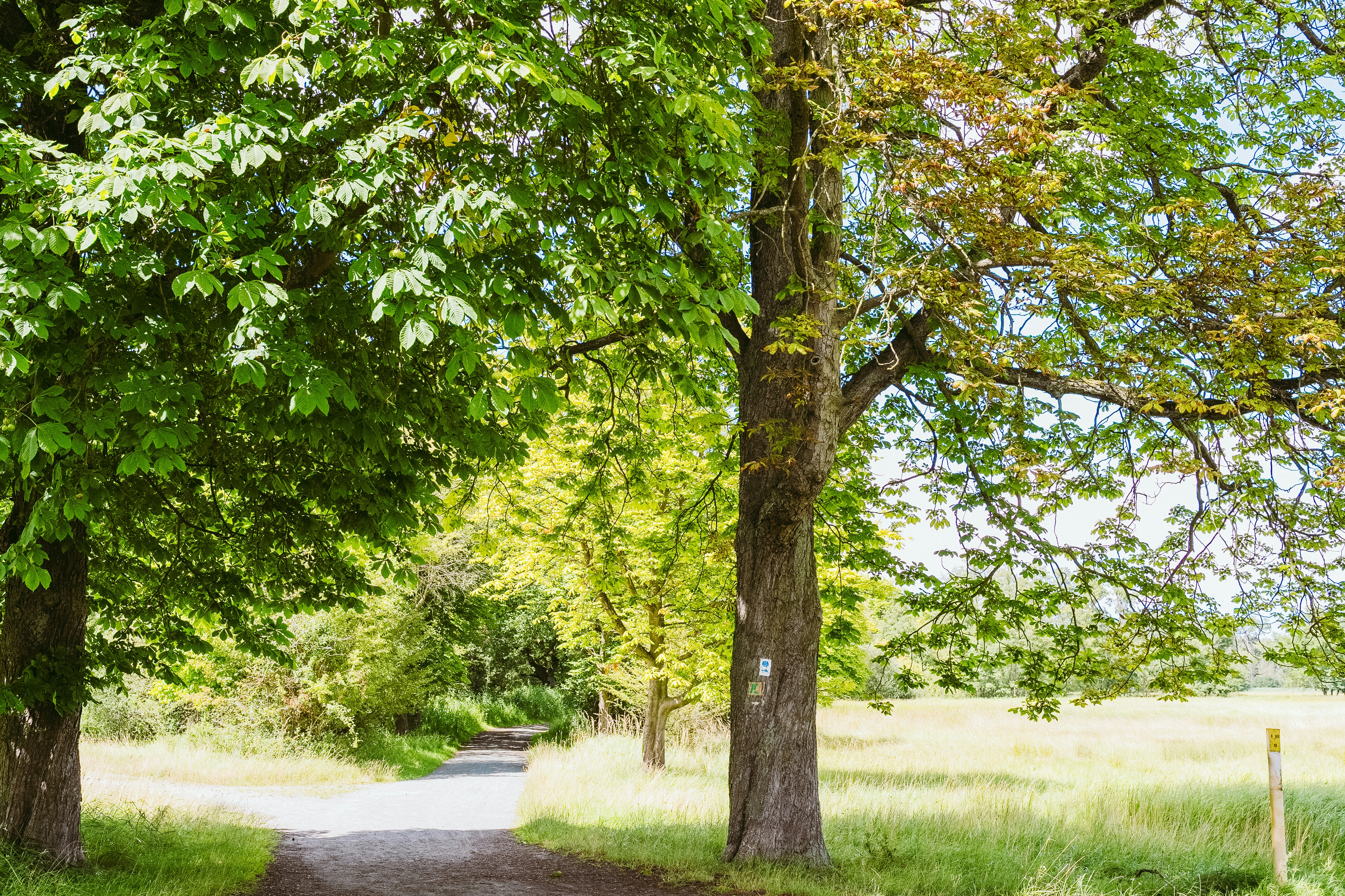 Photo by masoodaslami