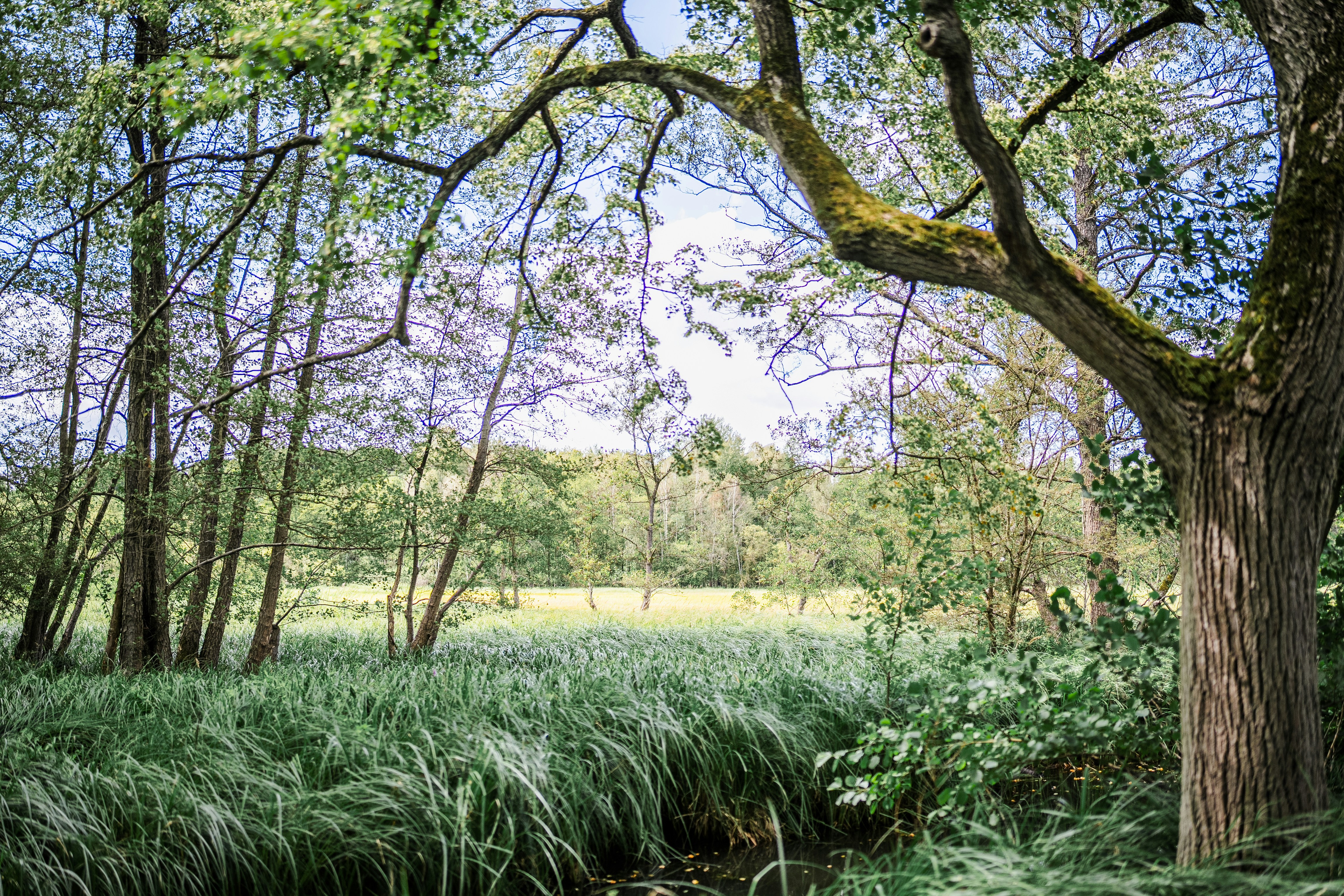 Photo by masoodaslami