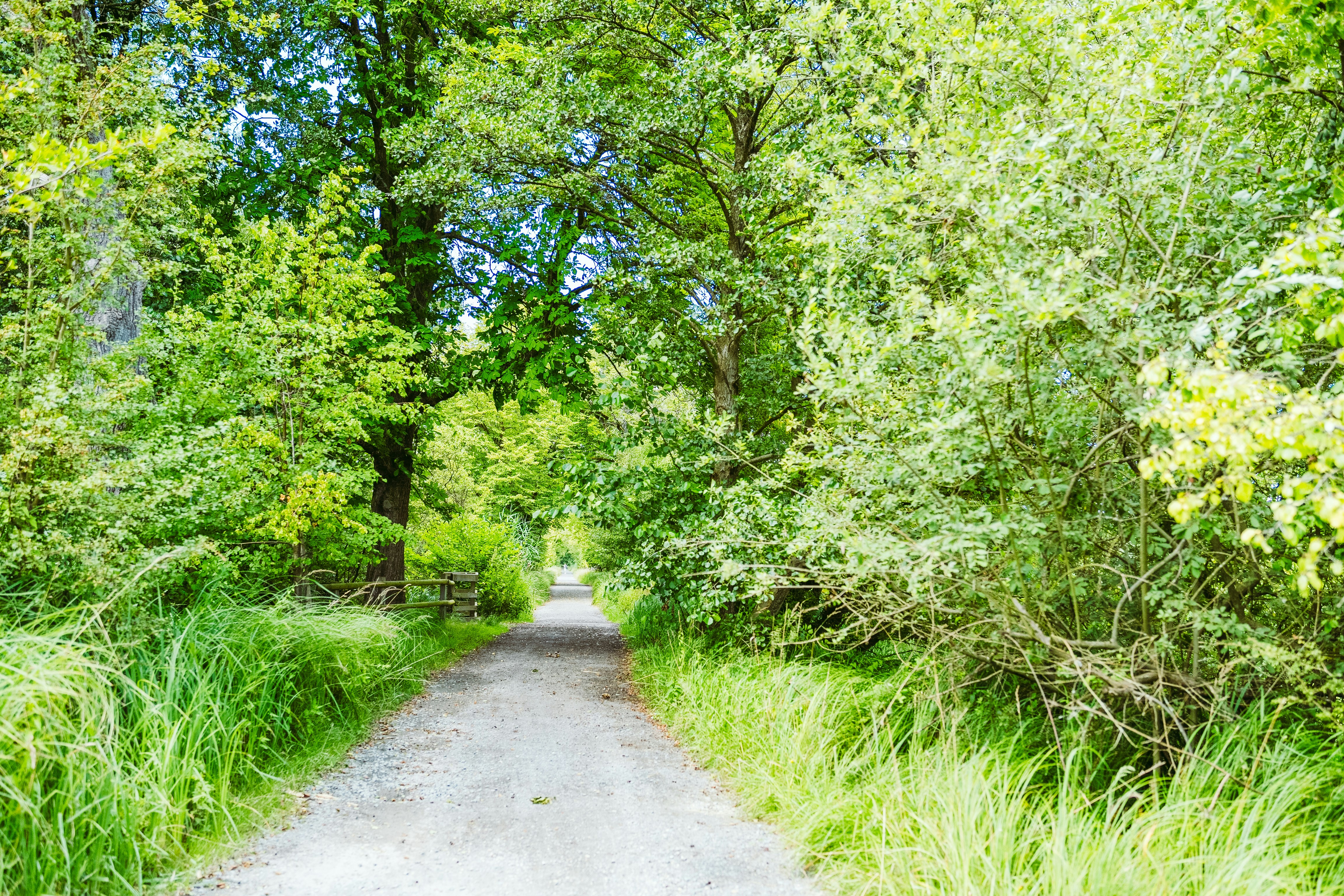 Photo by masoodaslami