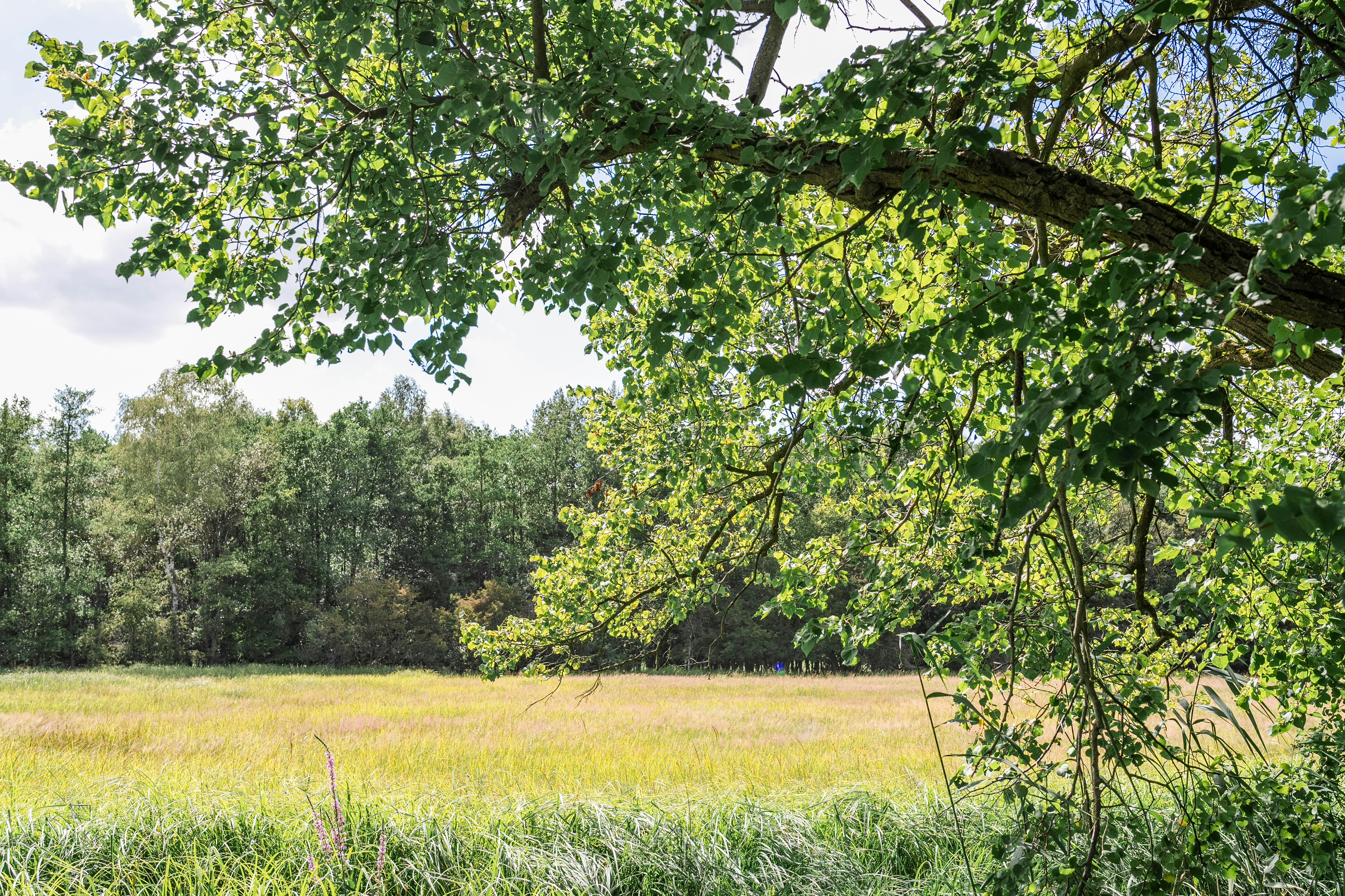 Photo by masoodaslami