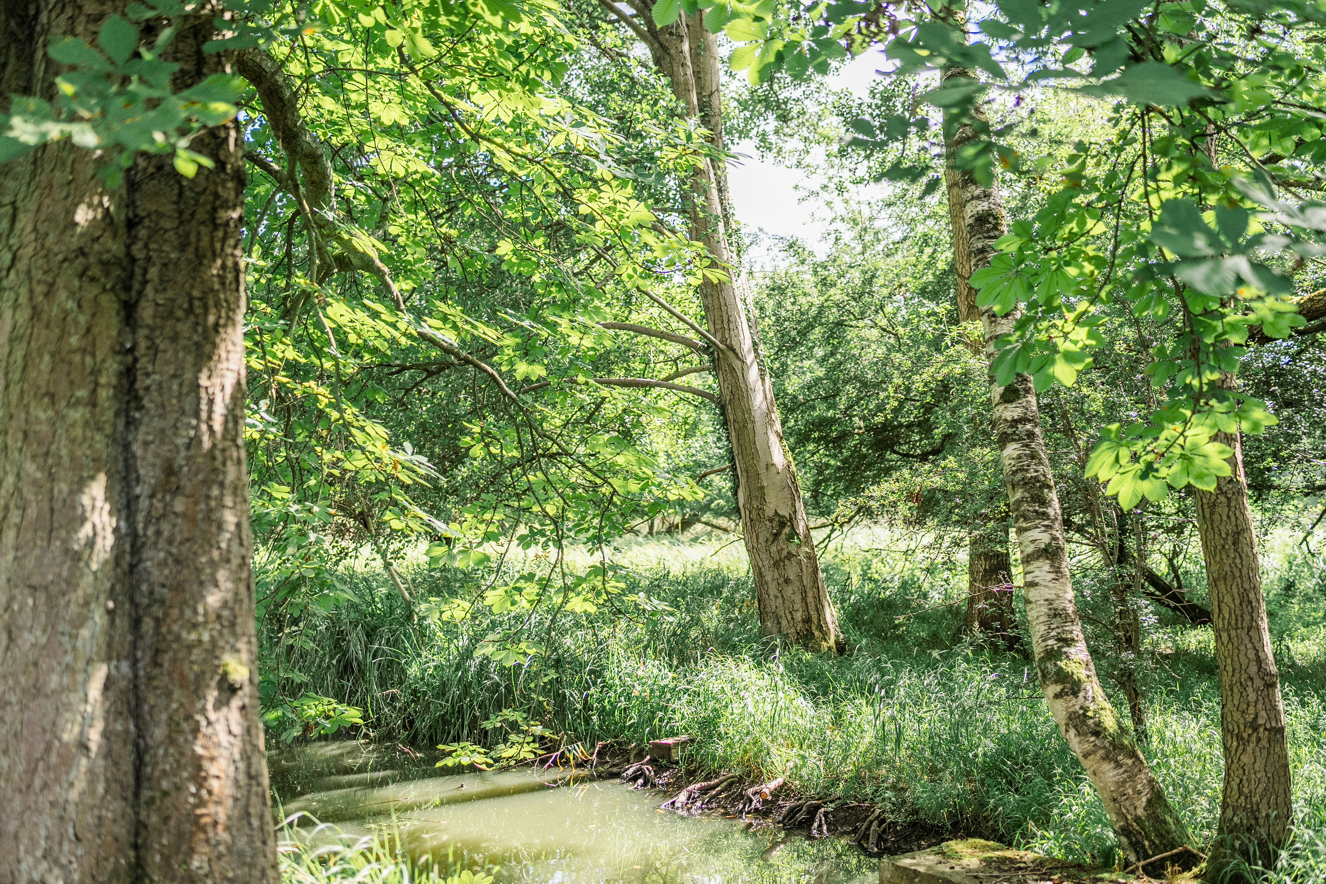 Photo by masoodaslami