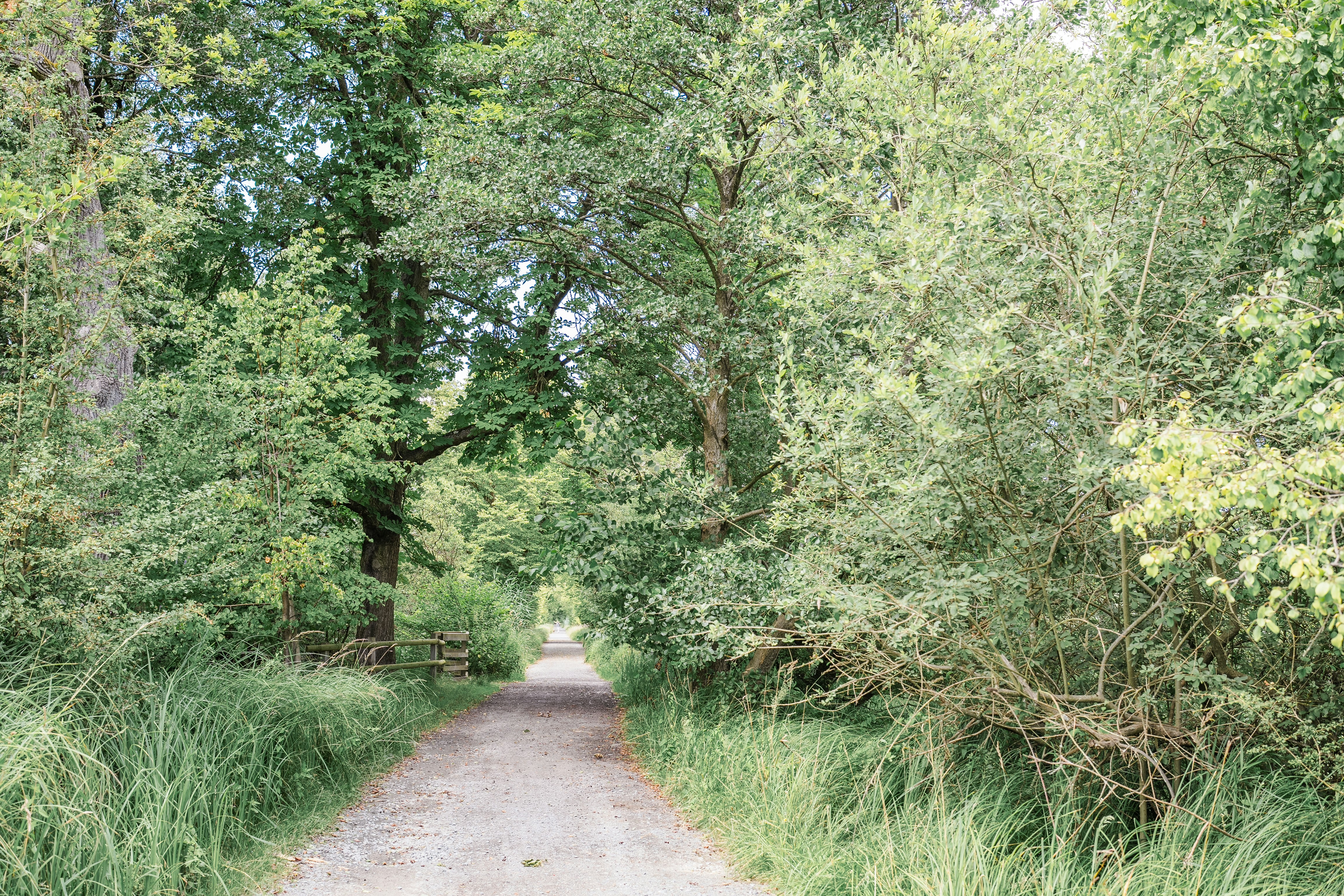 Photo by masoodaslami