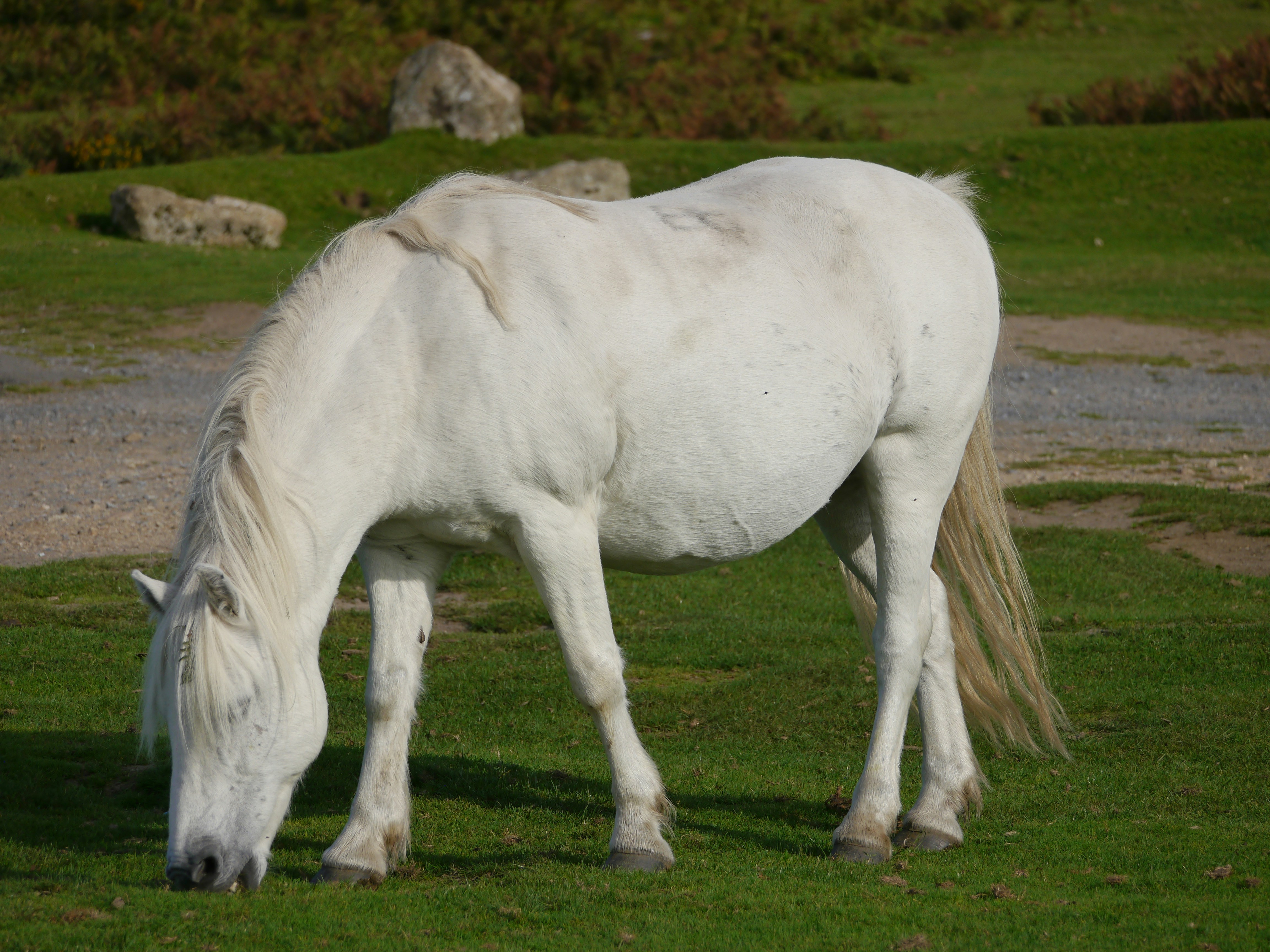 Photo by iqsphotography