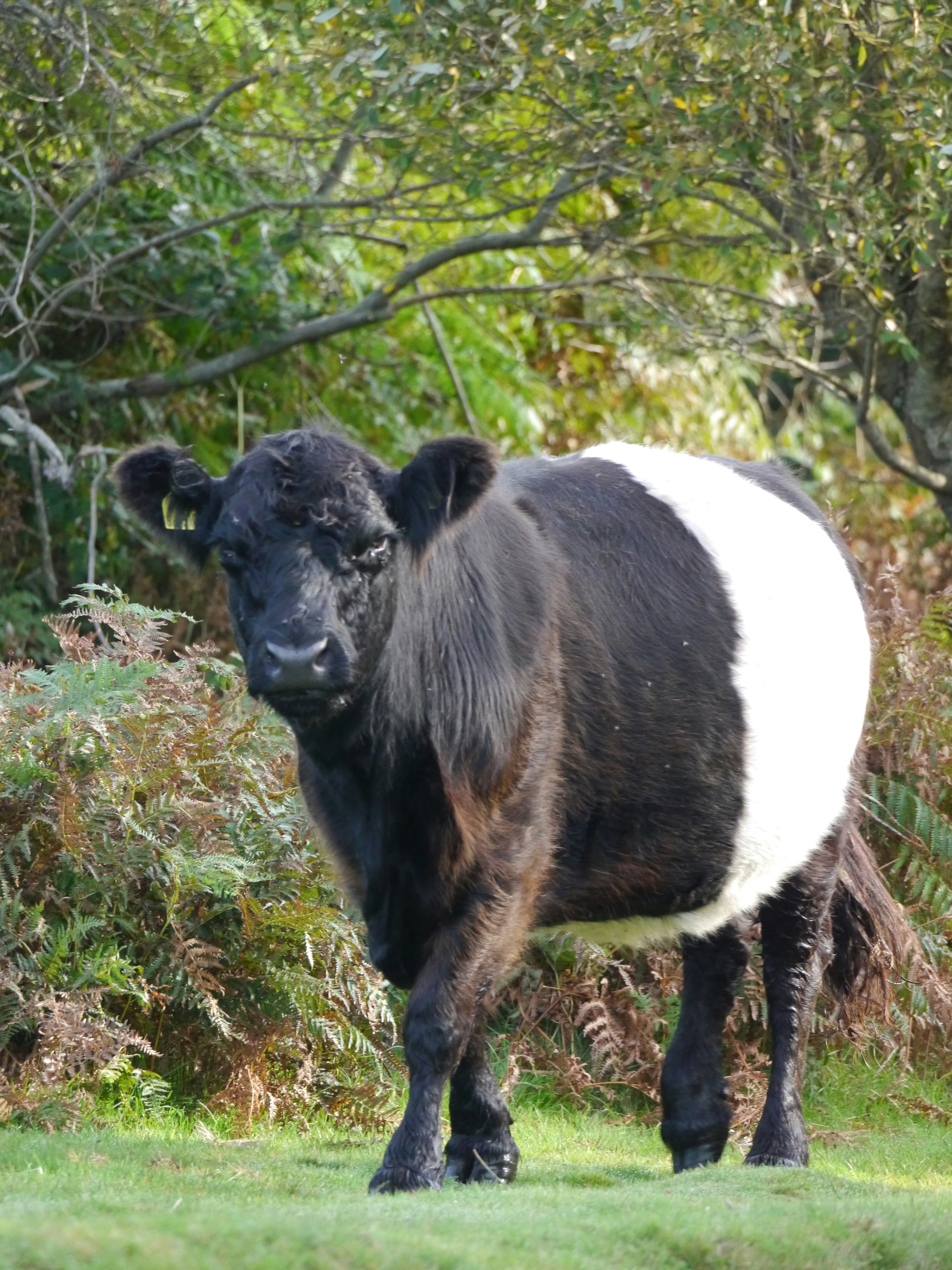 Photo by iqsphotography