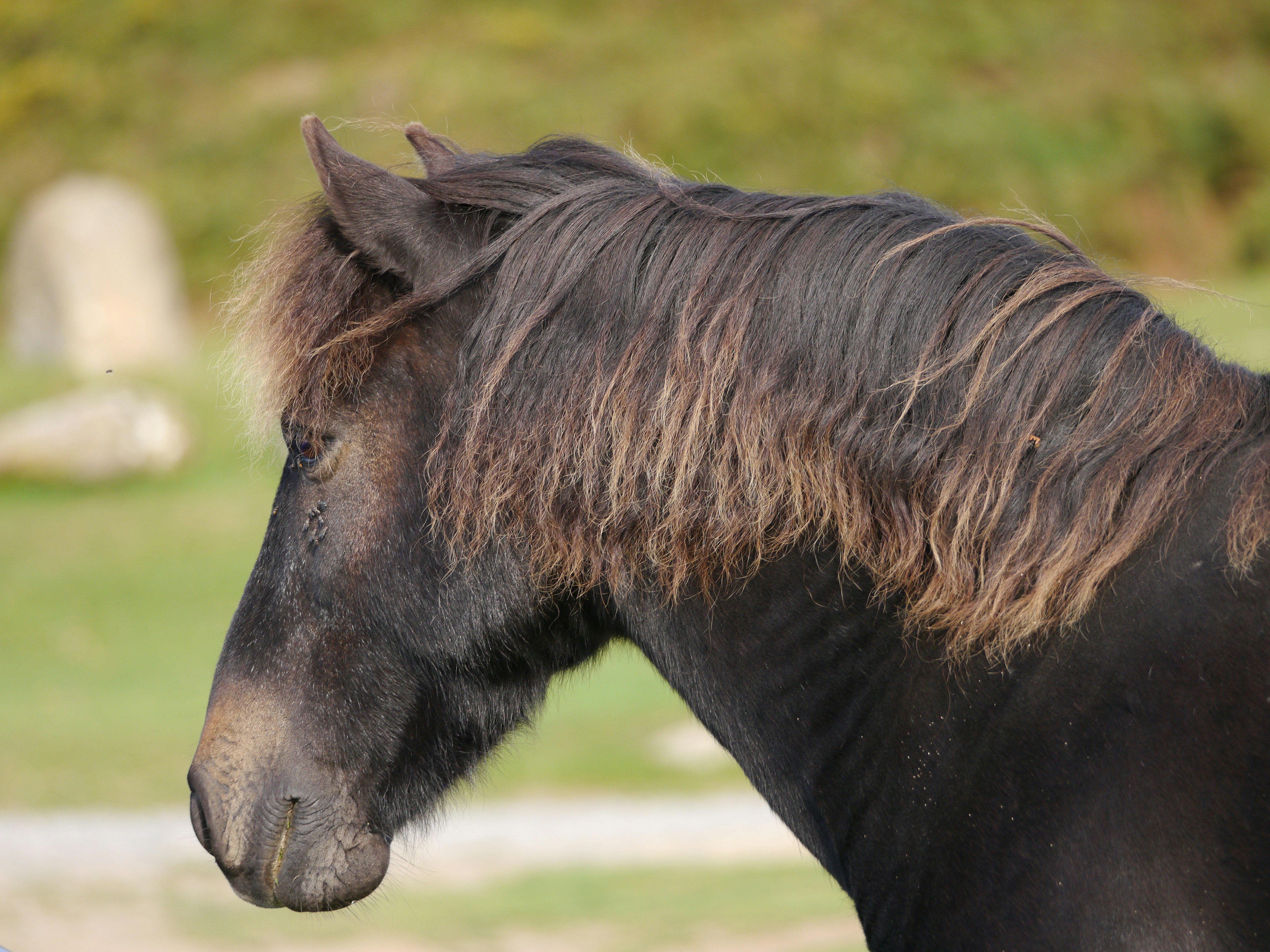 Photo by iqsphotography