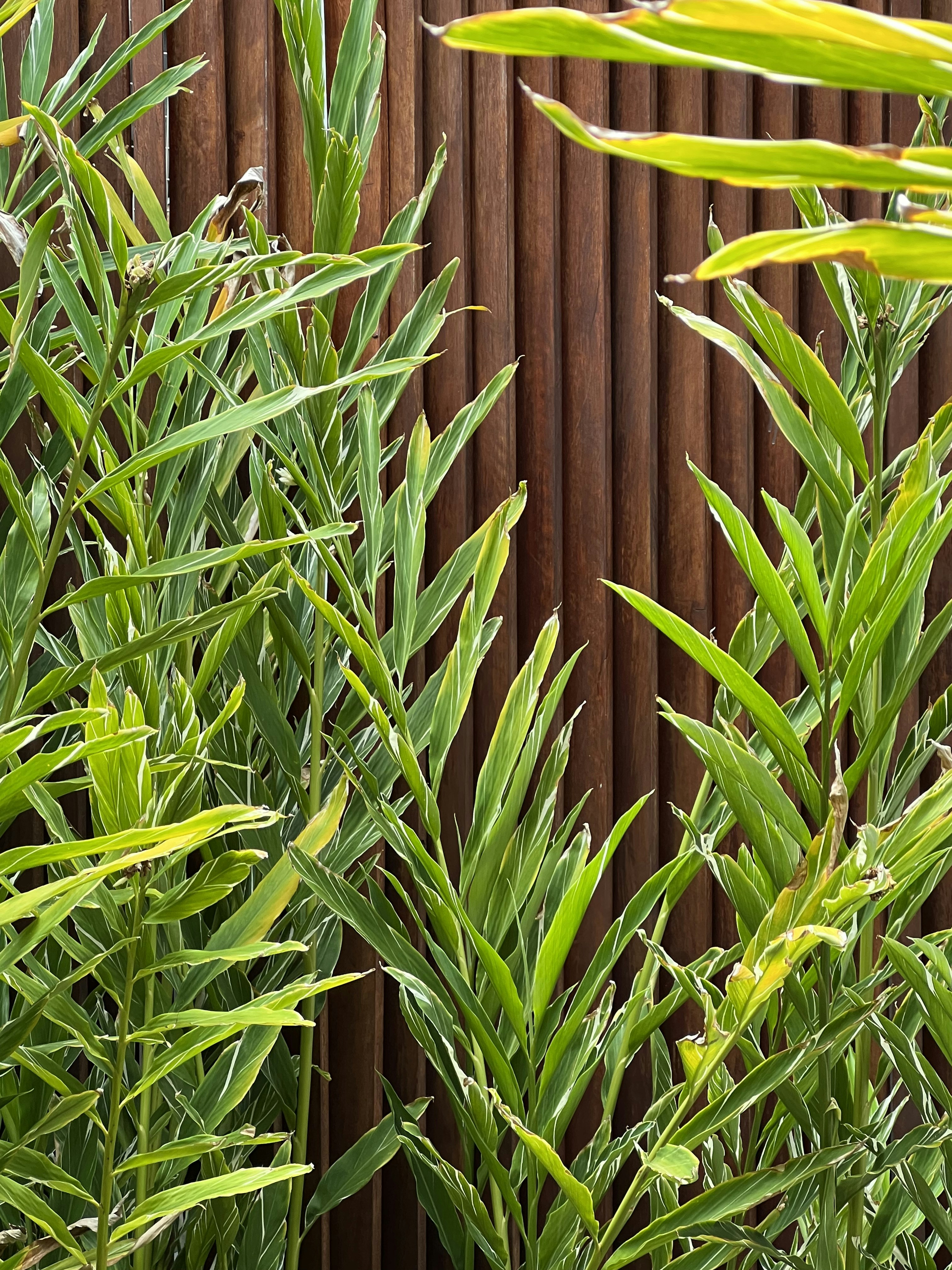 A bird is perched on a tree branch