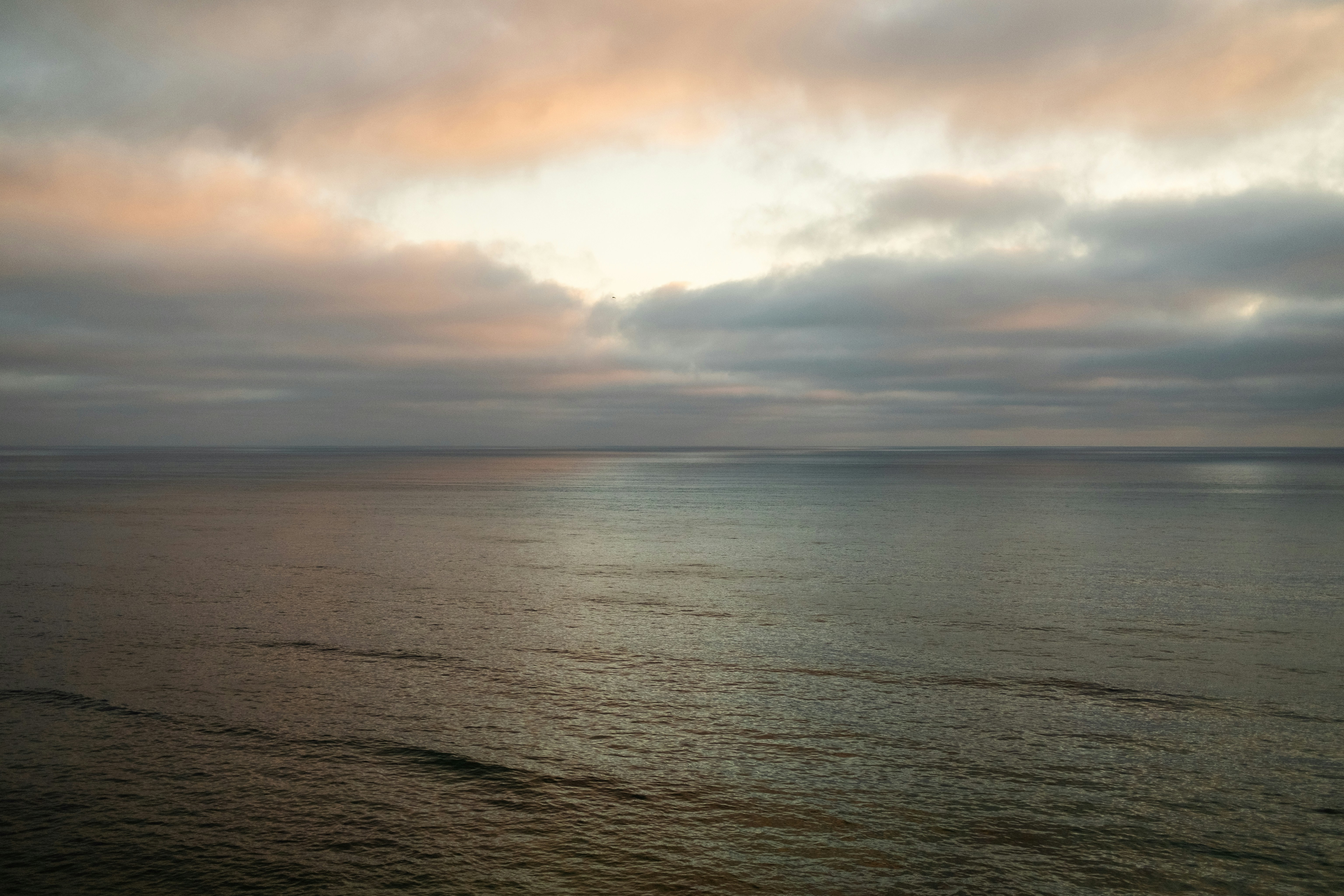 Photo by joakimkingstrom