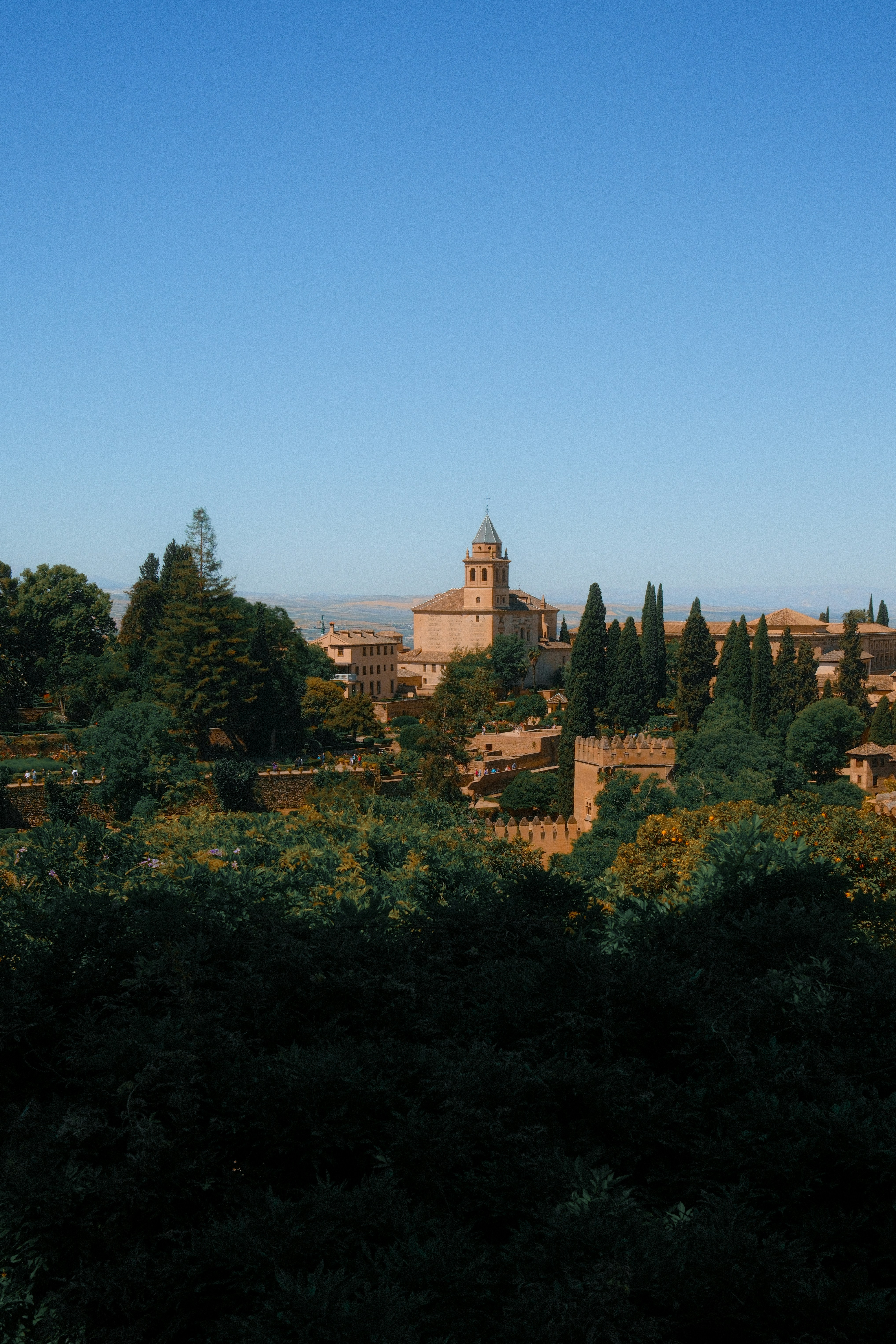 Photo by limamauro23