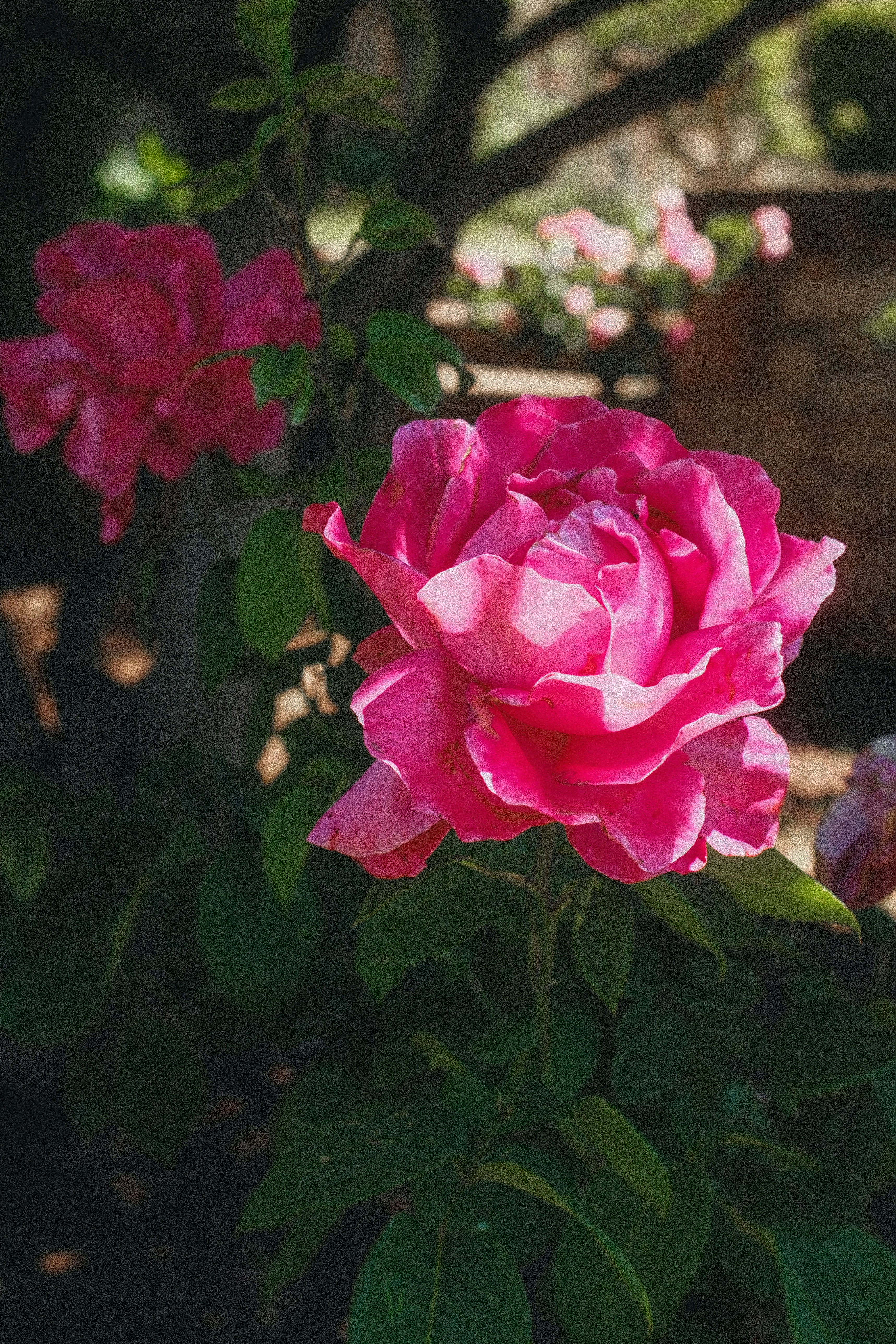 Photo by limamauro23