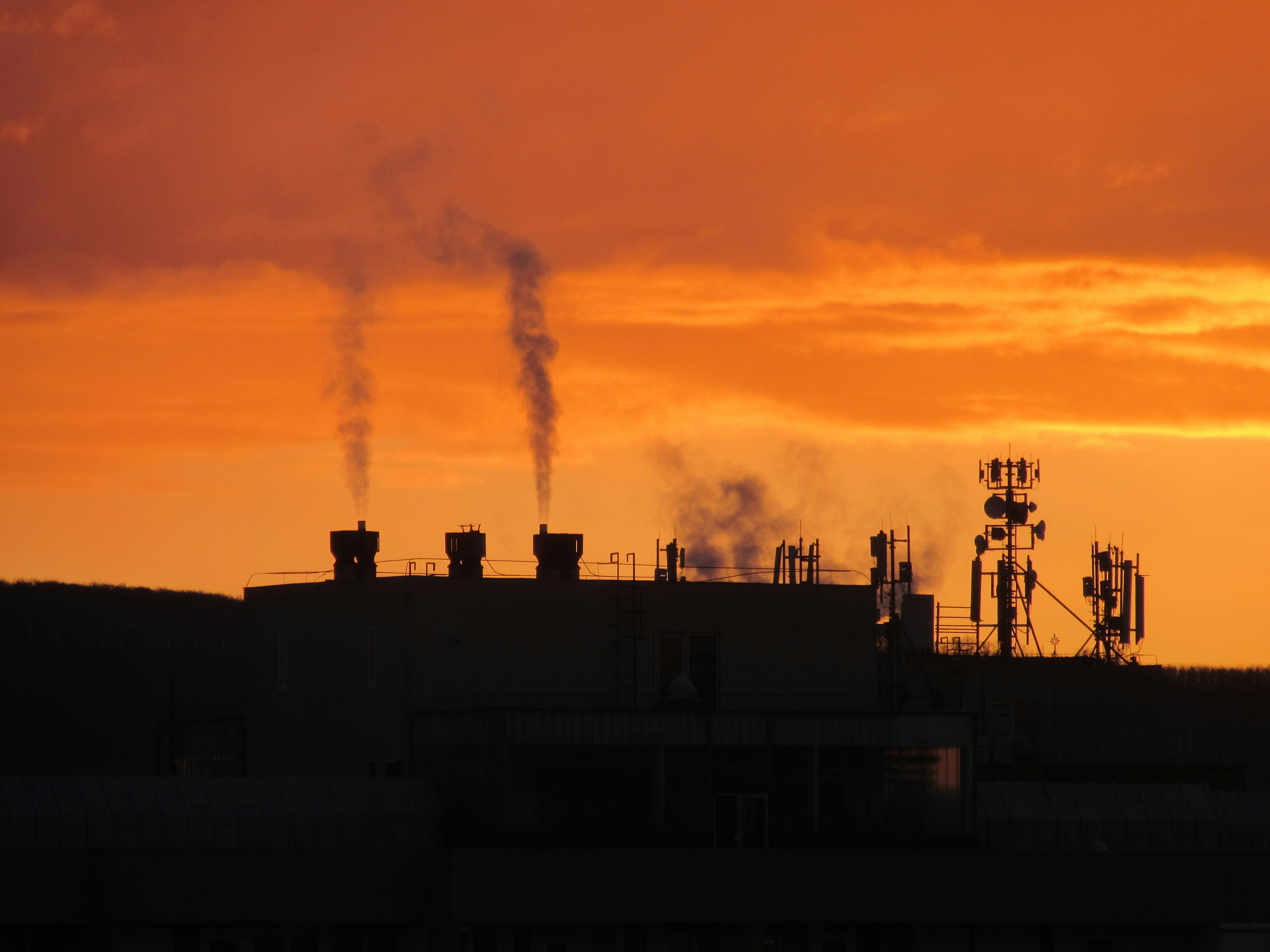 Photo by balint_miko