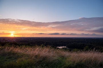 The sun is setting over a field of tall grass