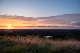 The sun is setting over a field of tall grass