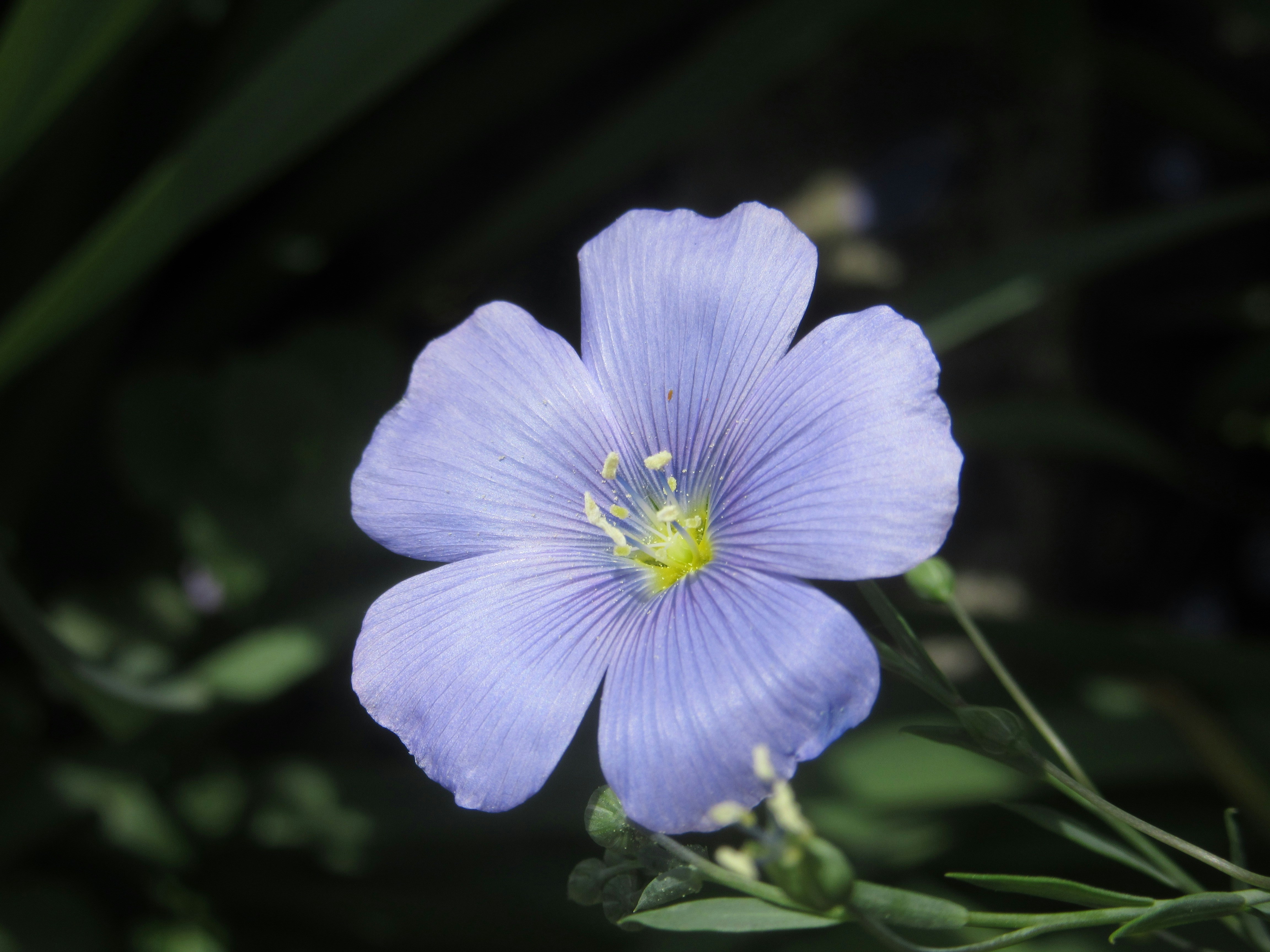 Photo by balint_miko