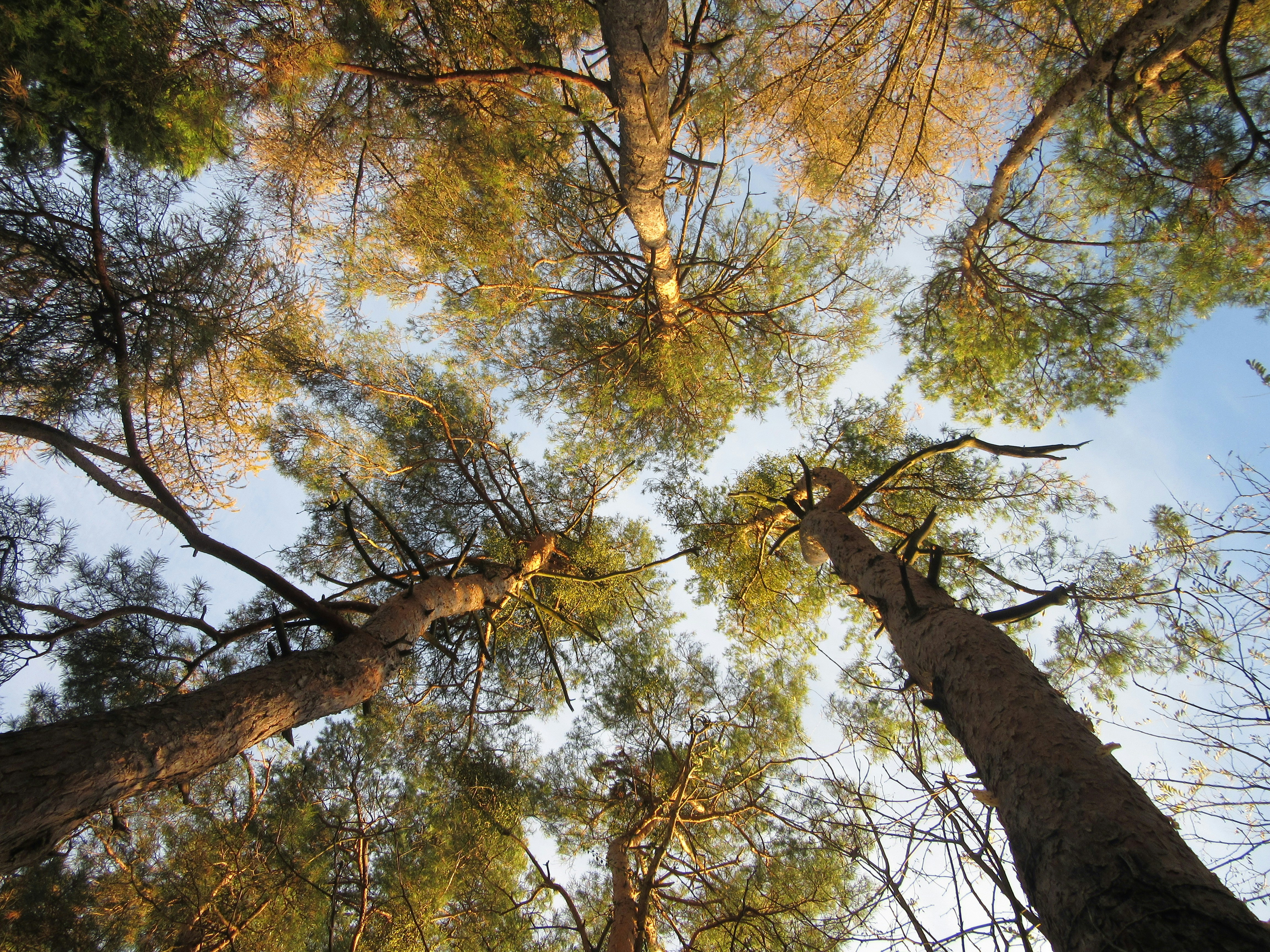 Photo by balint_miko