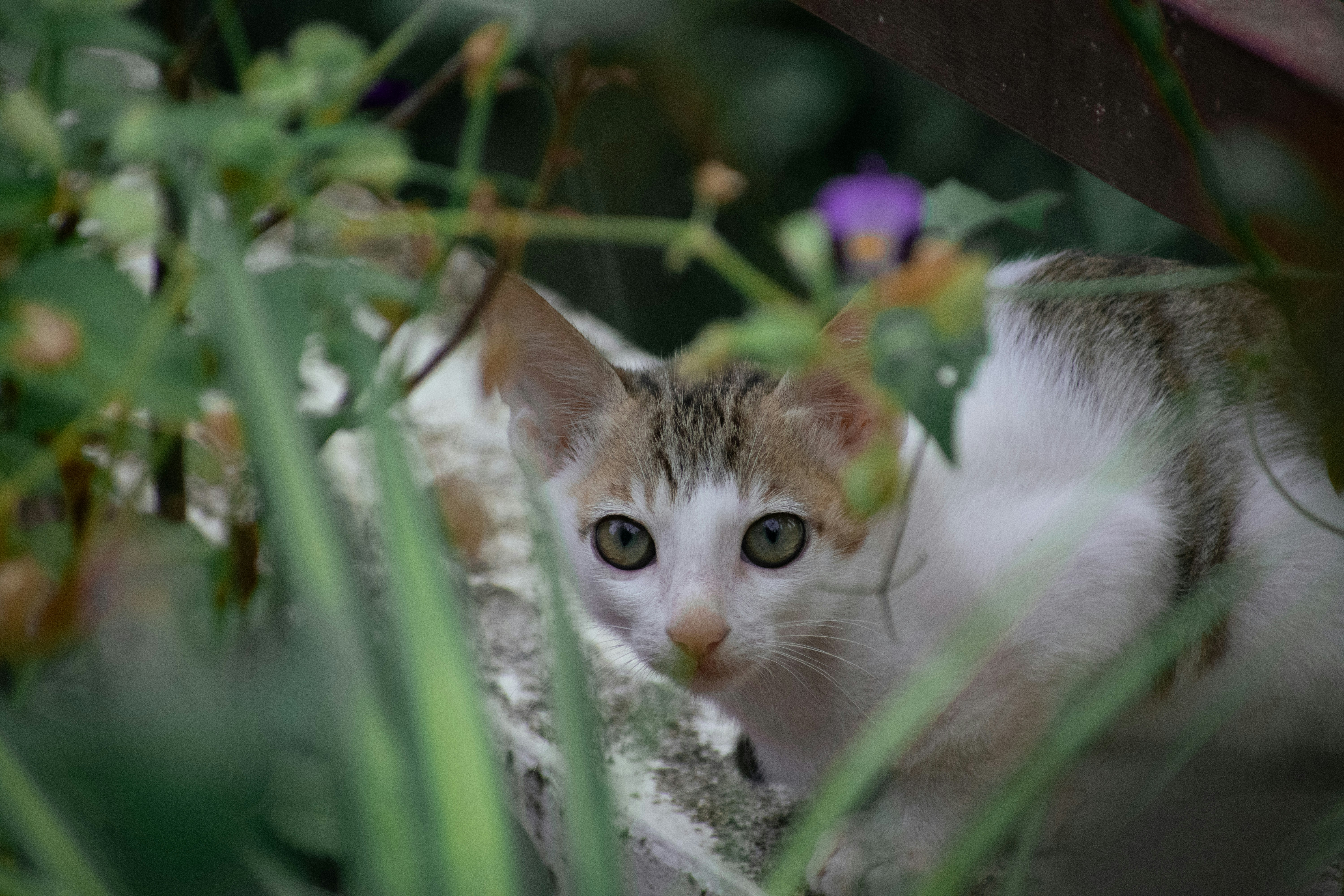 Photo by martinphotography