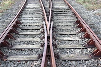 A set of train tracks in the middle of a field