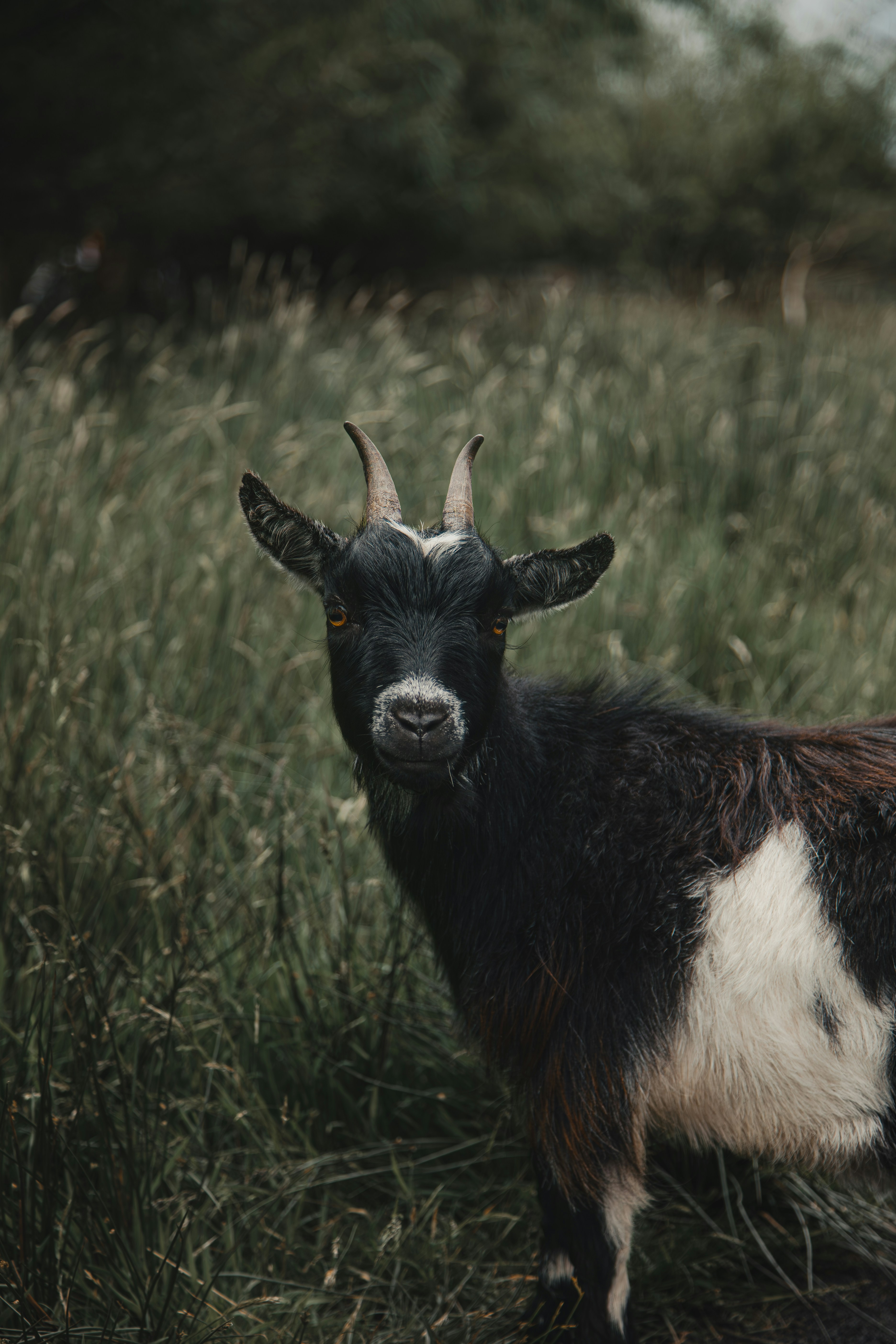 Photo by gilleyaguilar