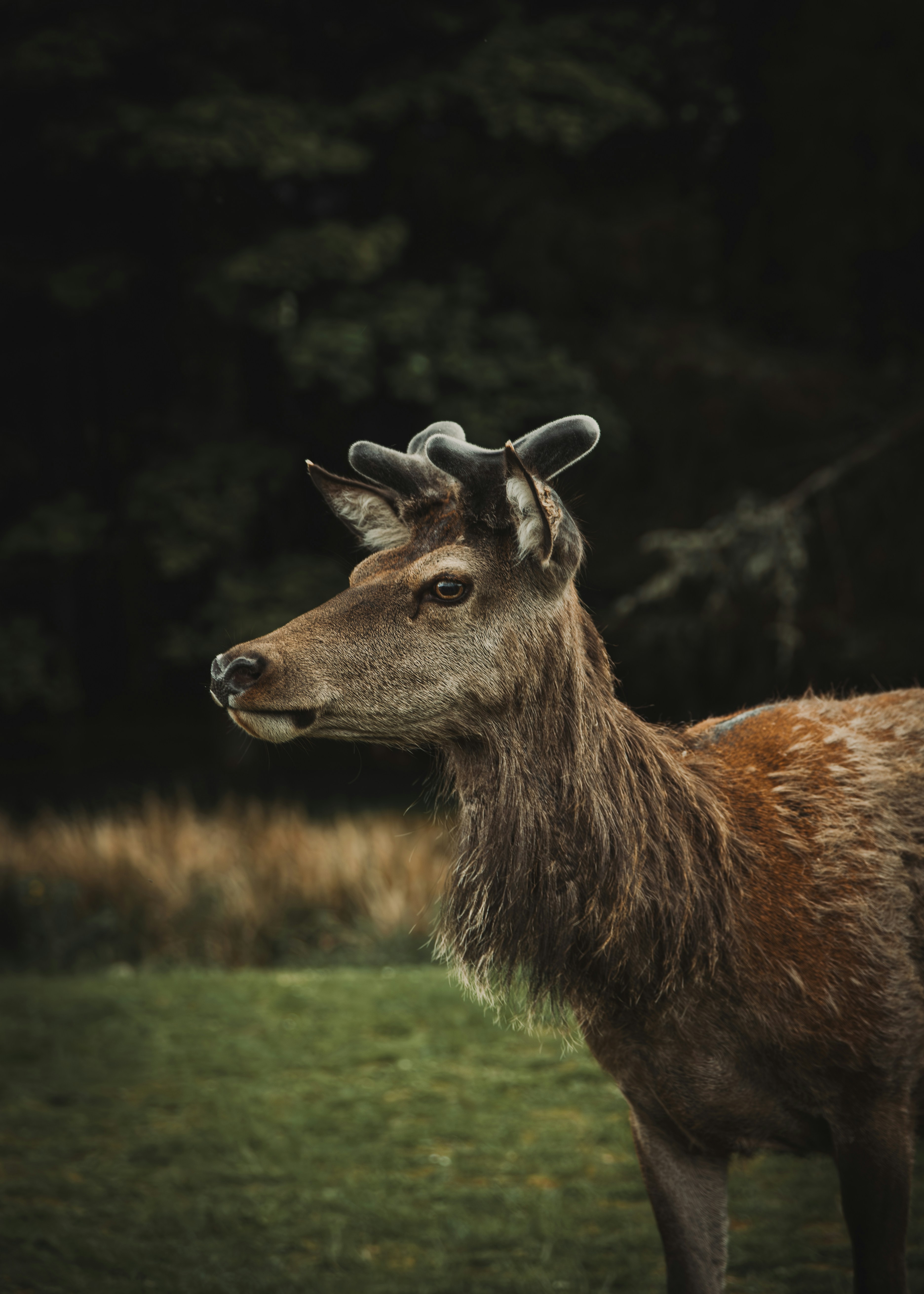 Photo by gilleyaguilar