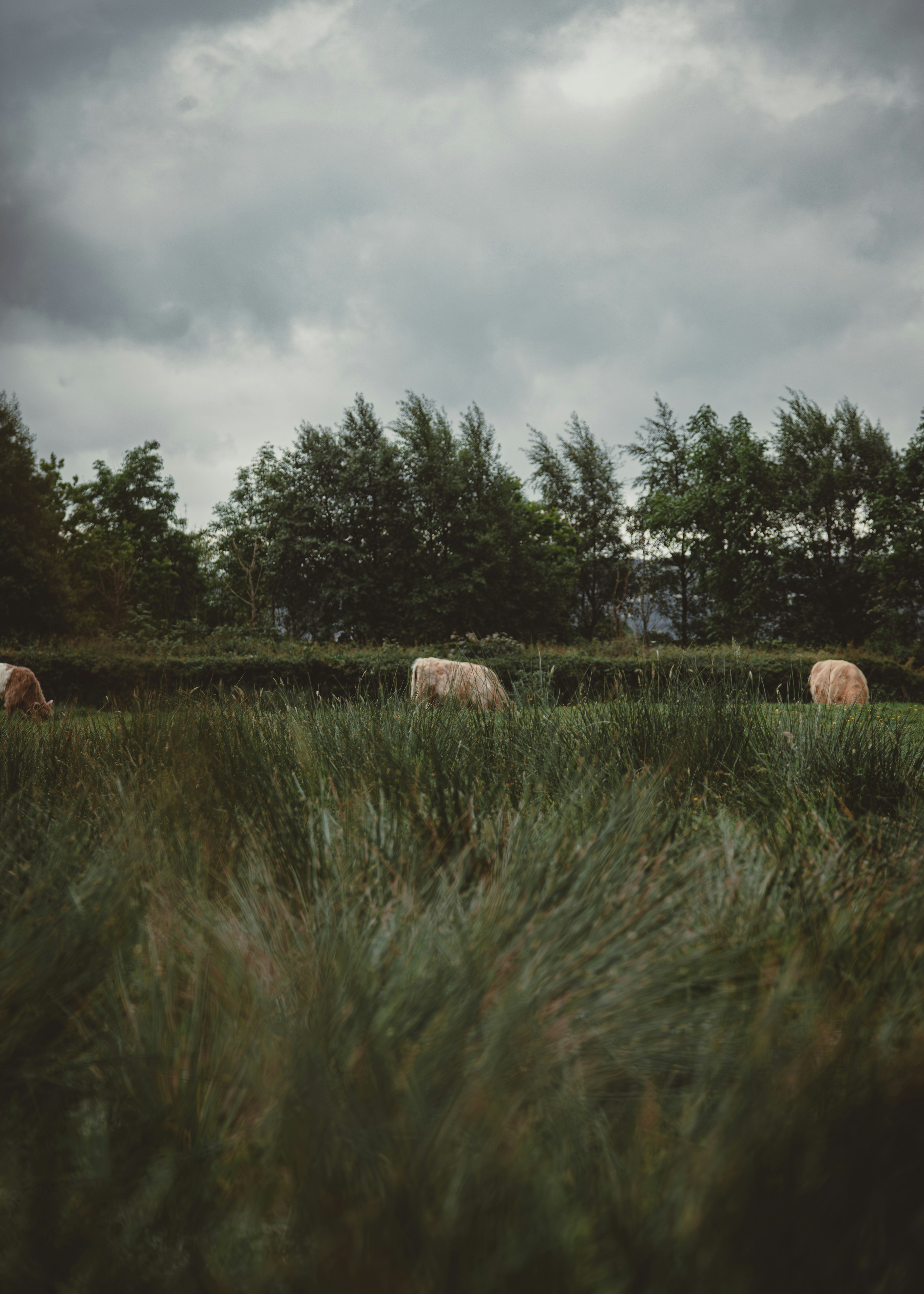 Photo by gilleyaguilar